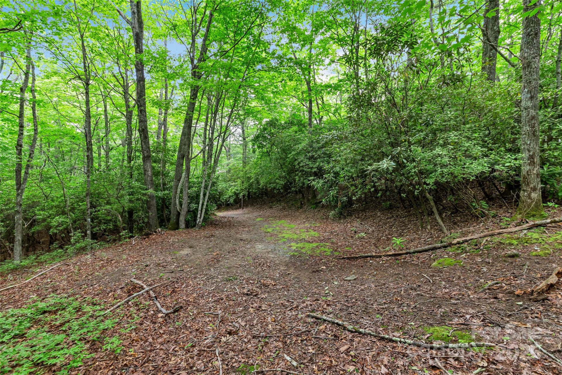 000 Squirrel Run Road - Photo 25