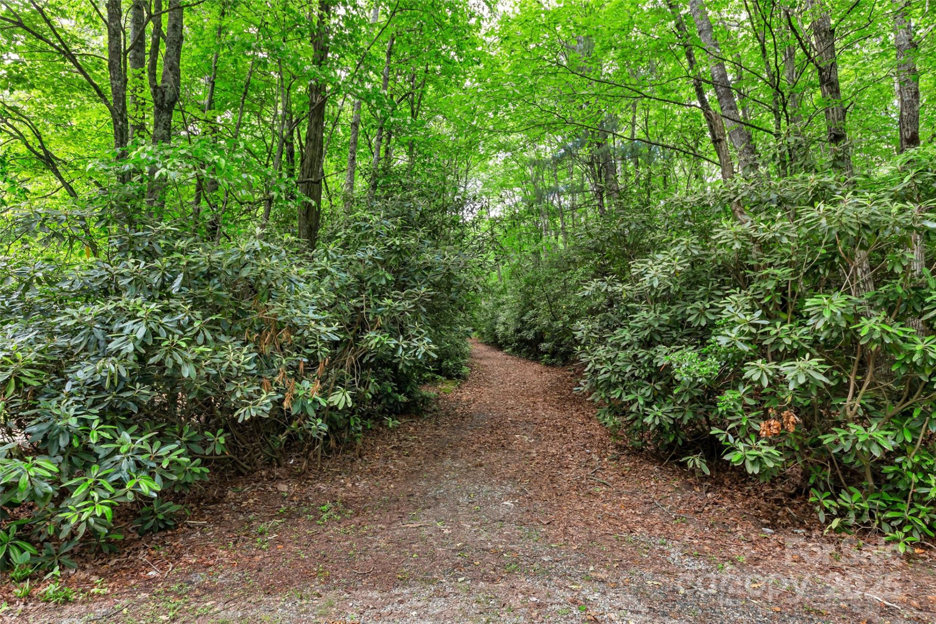 000 Squirrel Run Road - Photo 26