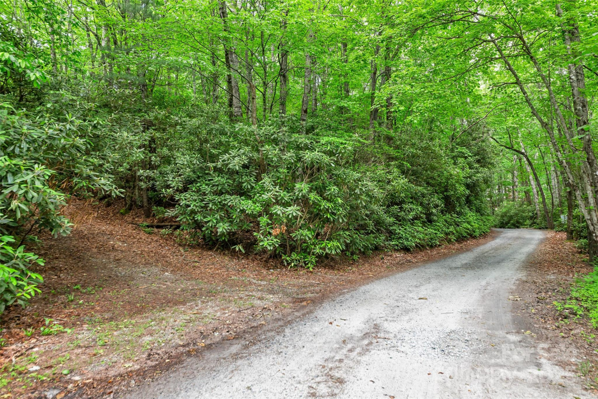 000 Squirrel Run Road - Photo 4
