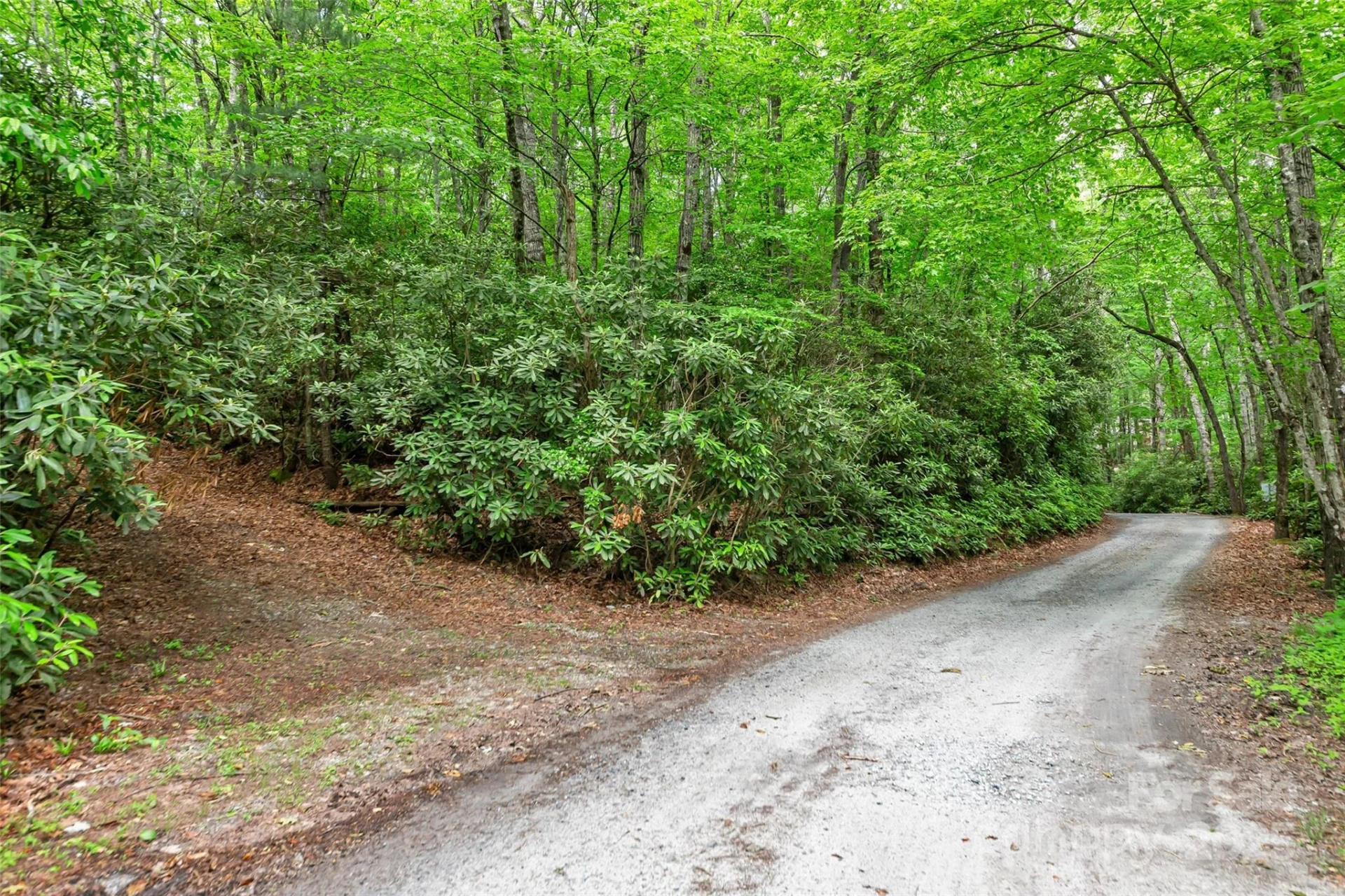 000 Squirrel Run Road - Photo 4