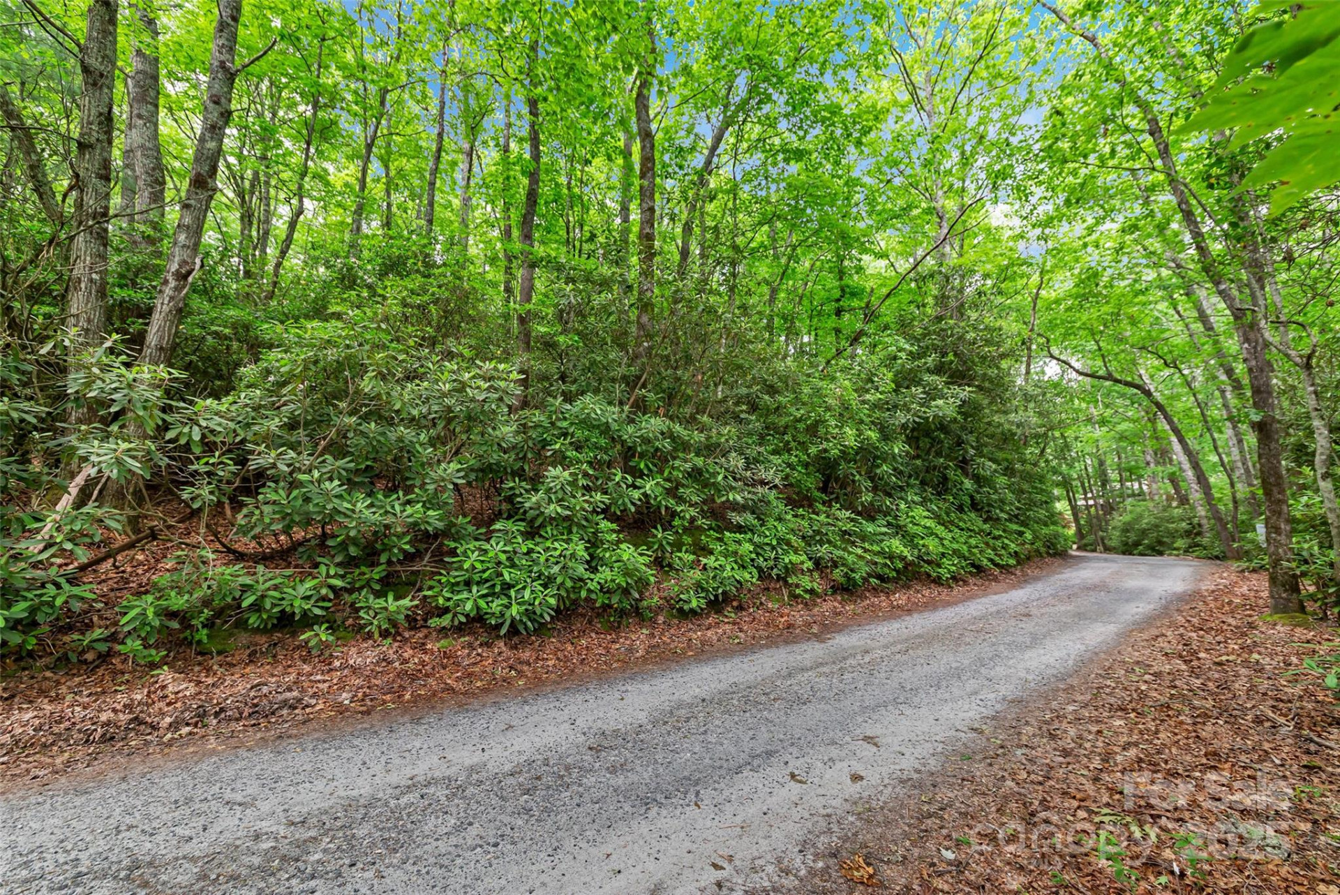 000 Squirrel Run Road - Photo 5