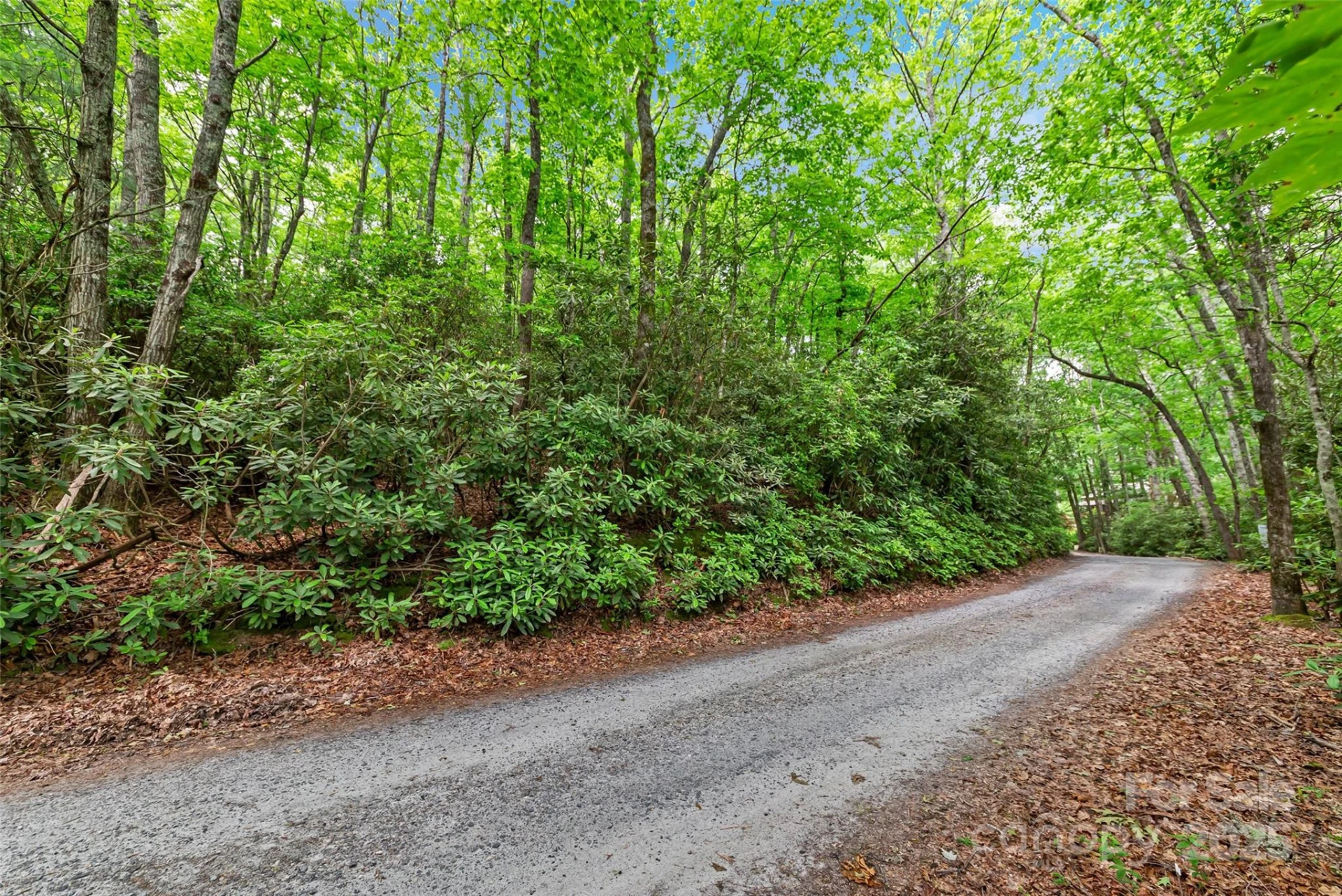 000 Squirrel Run Road - Photo 5
