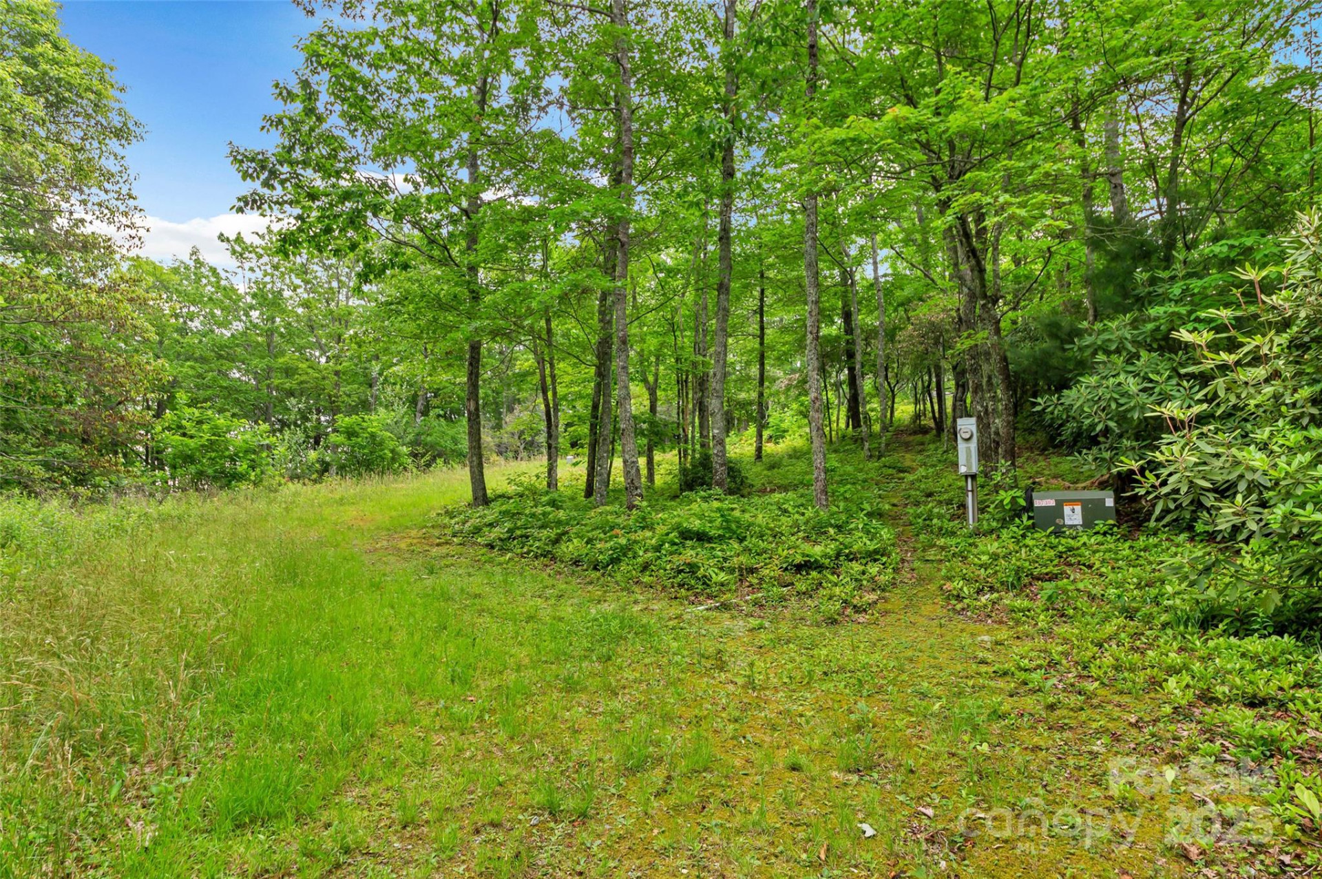 000 Squirrel Run Road - Photo 6