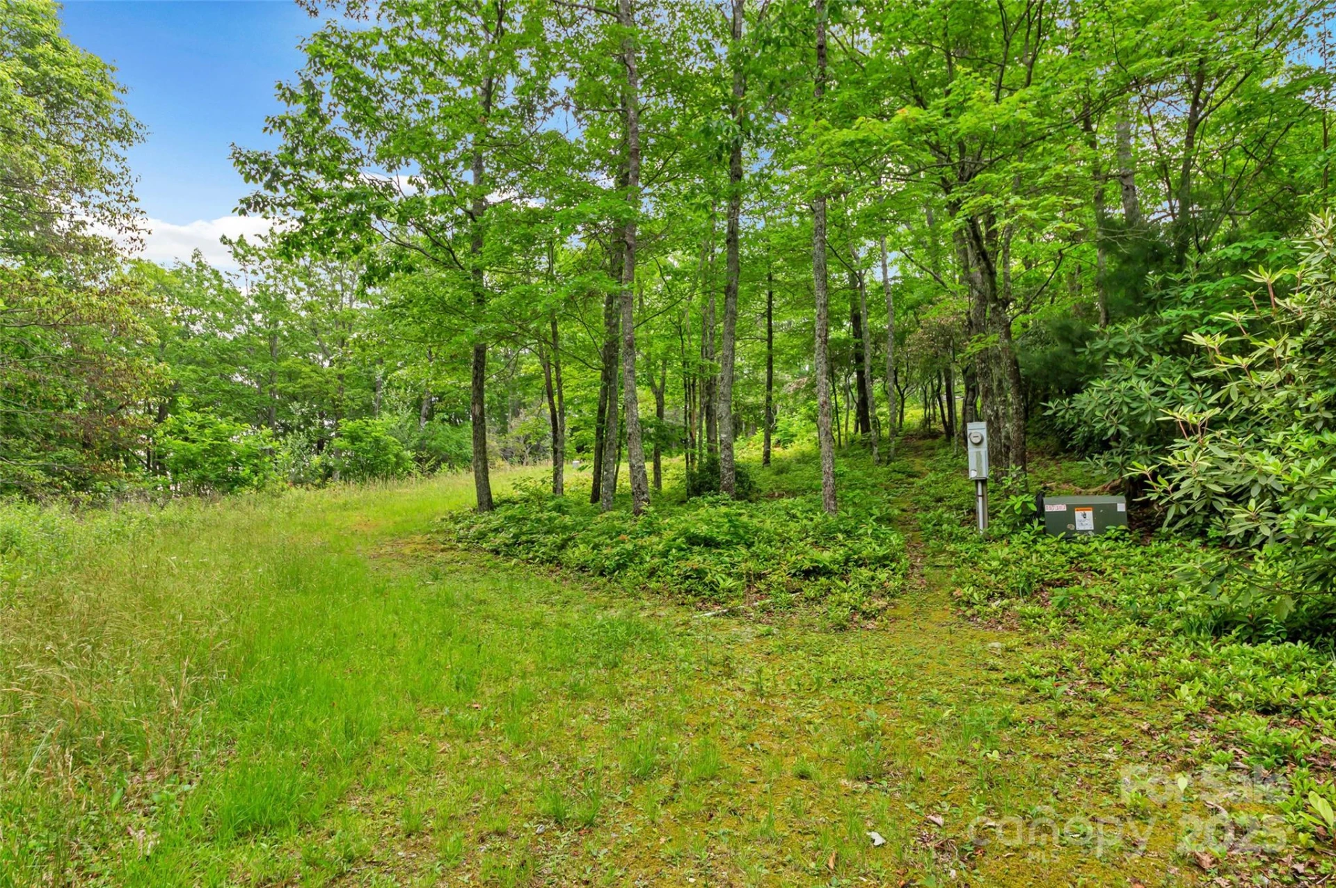 000 Squirrel Run Road - Photo 6