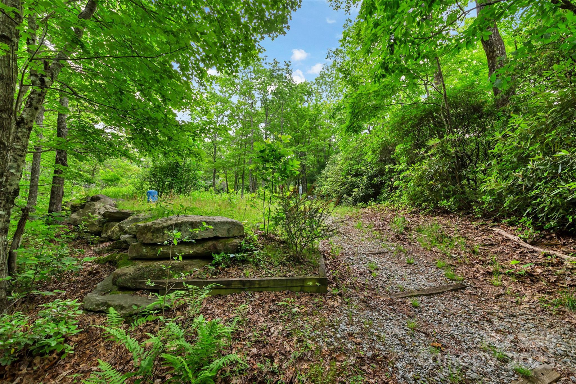 000 Squirrel Run Road - Photo 7