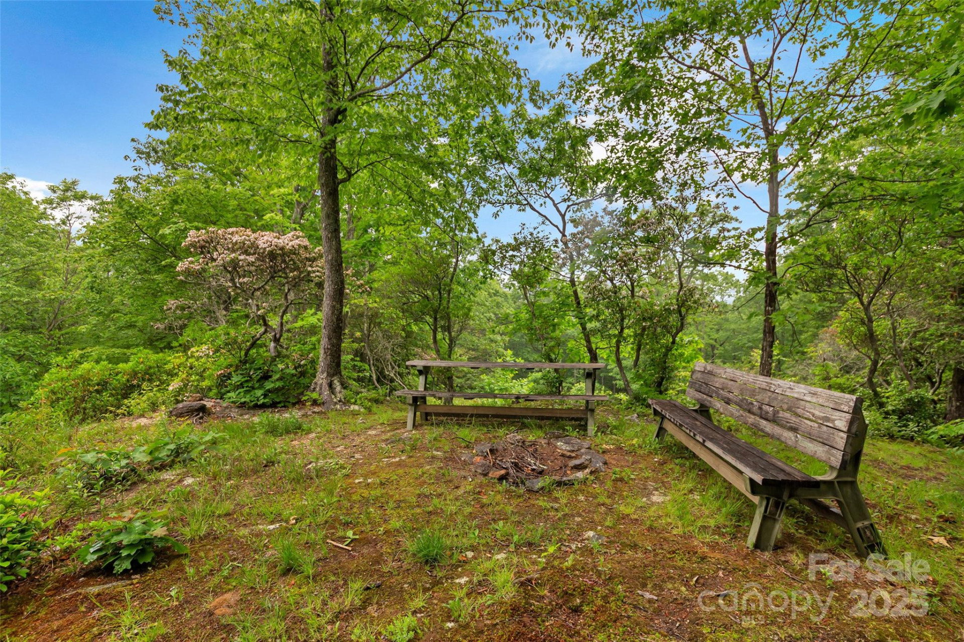 000 Squirrel Run Road - Photo 9