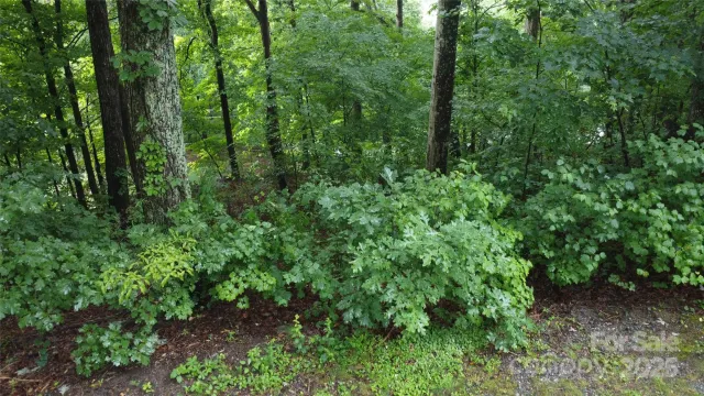 #46 Hemlock Trail, Columbus, NC, 28722