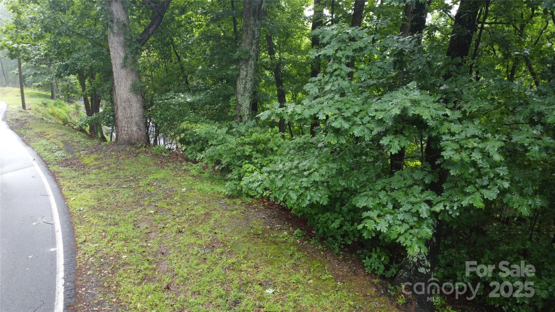 #46 Hemlock Trail - Photo 4