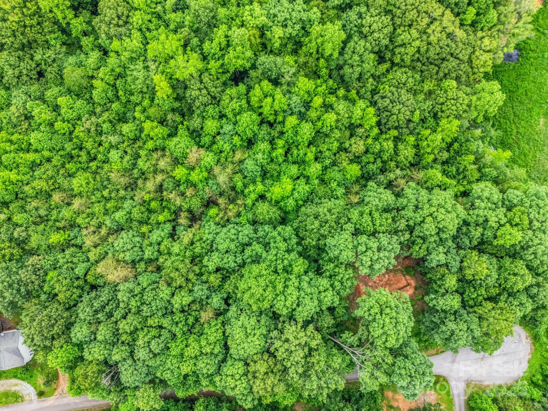 0 Hutchins Drive #14,15 - Photo 2