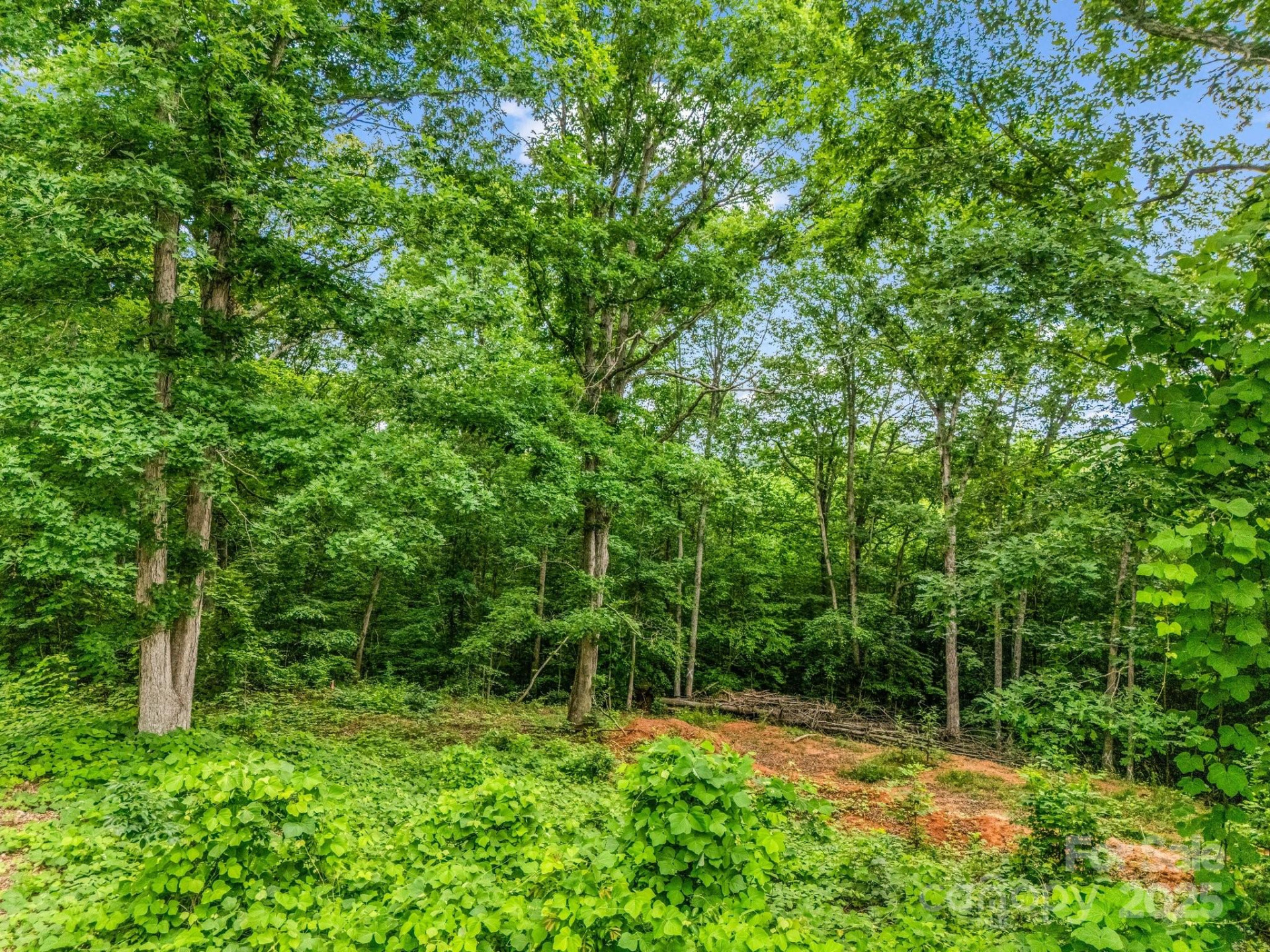 0 Hutchins Drive #14,15 - Photo 20