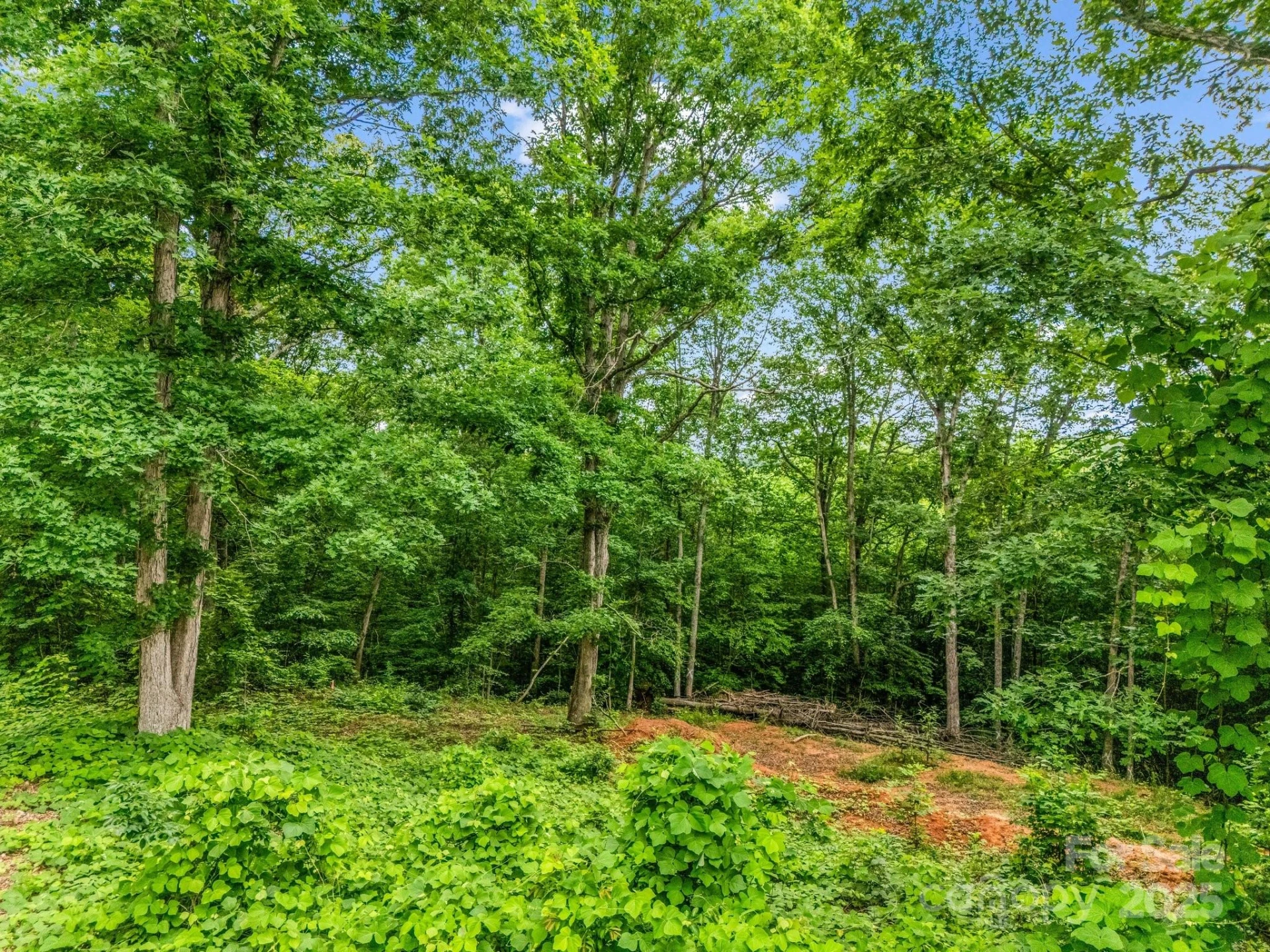 0 Hutchins Drive #14,15 - Photo 20