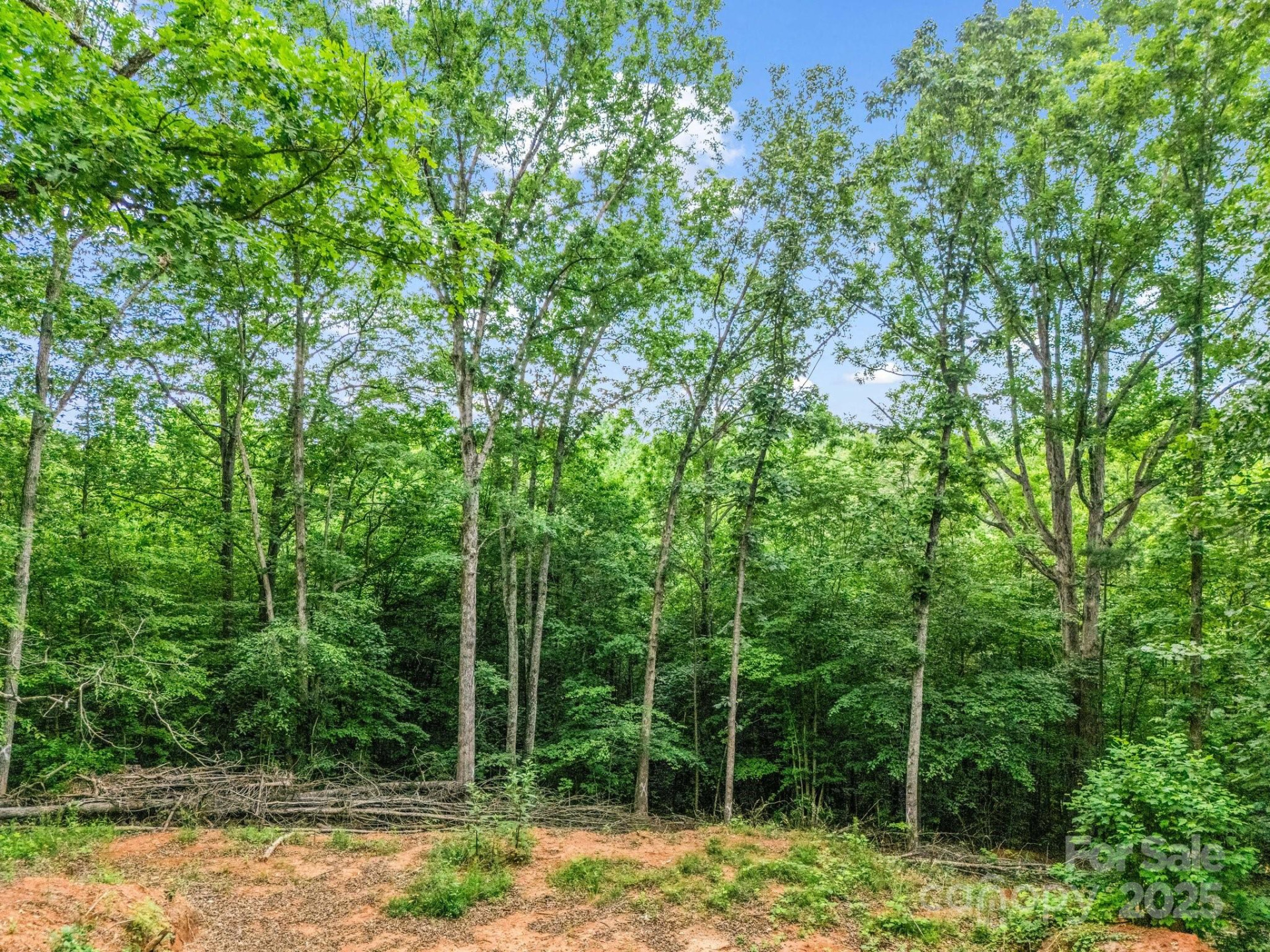 0 Hutchins Drive #14,15 - Photo 21