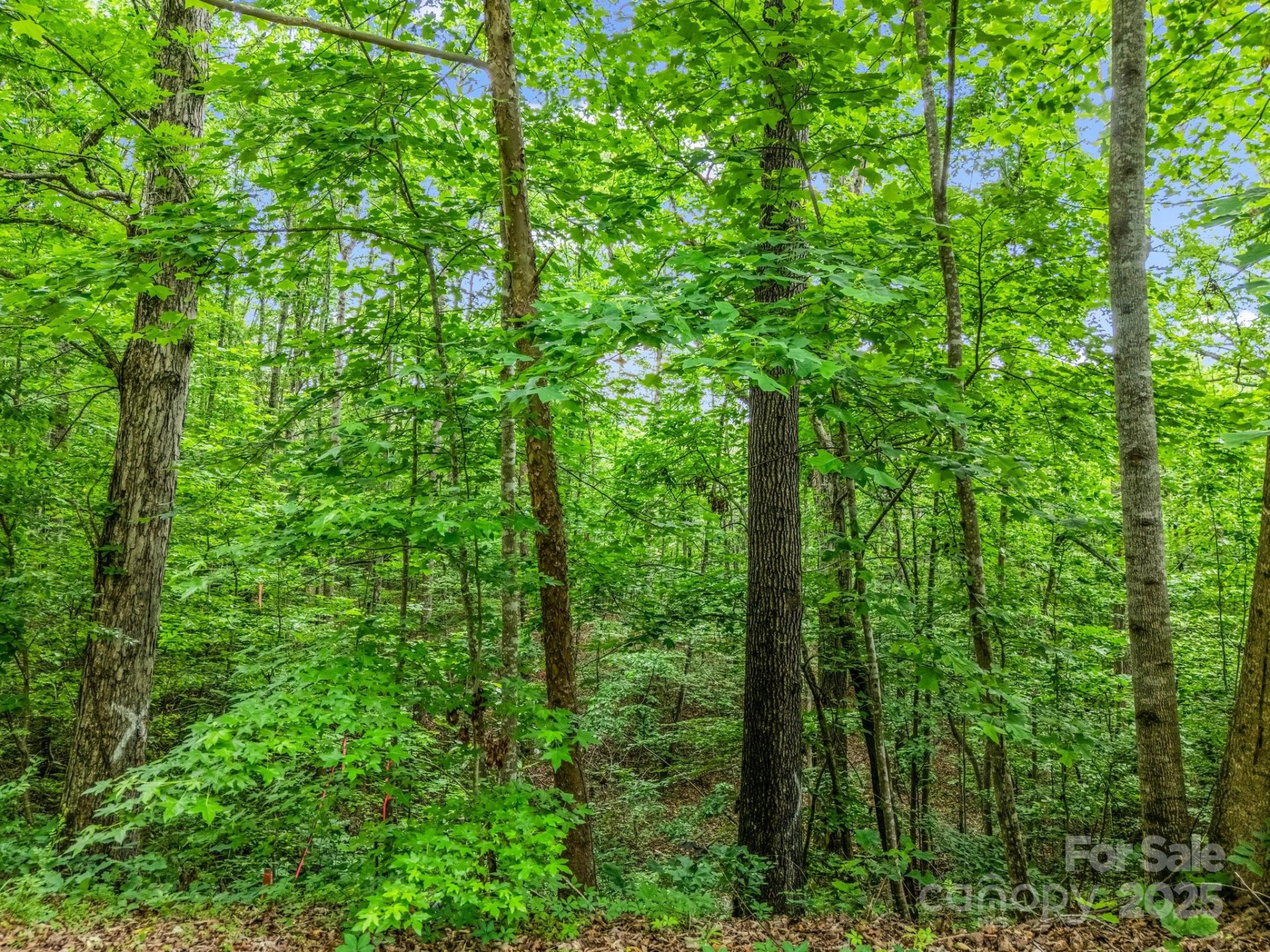 0 Hutchins Drive #14,15 - Photo 25