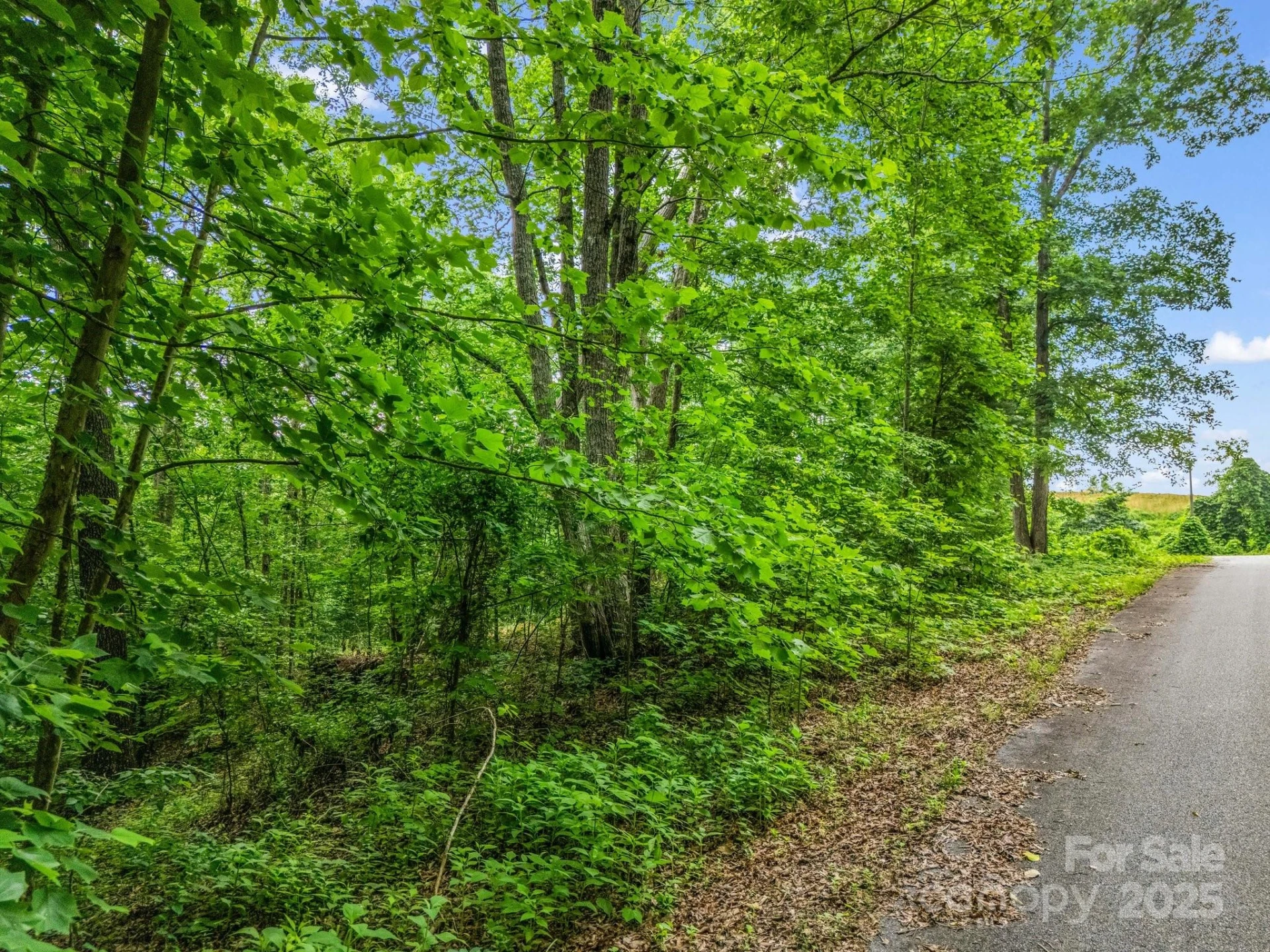 0 Hutchins Drive #14,15 - Photo 26
