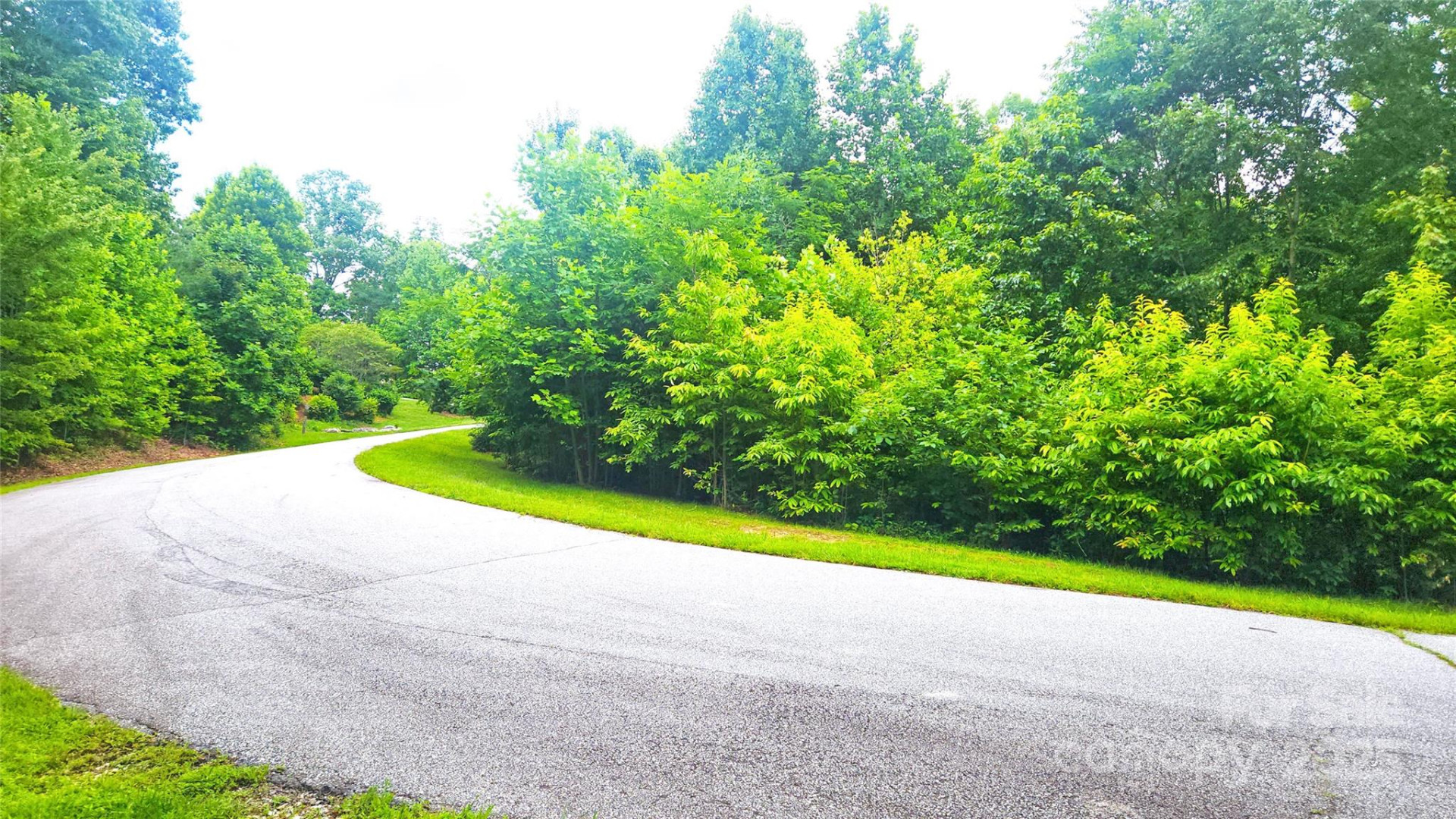 9999 Red Bud Lane #13 - Photo 4