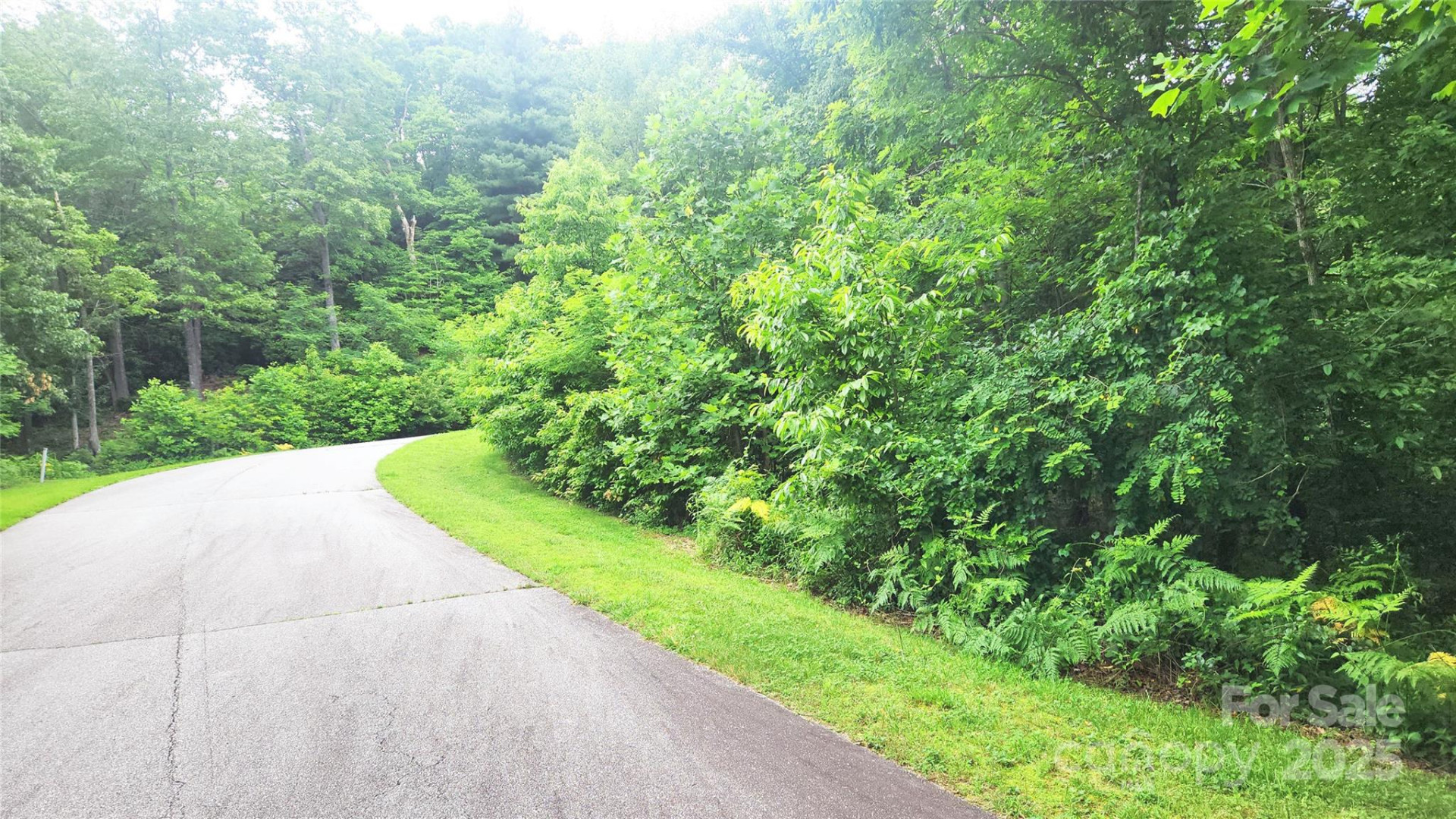 9999 Red Bud Lane #13 - Photo 5