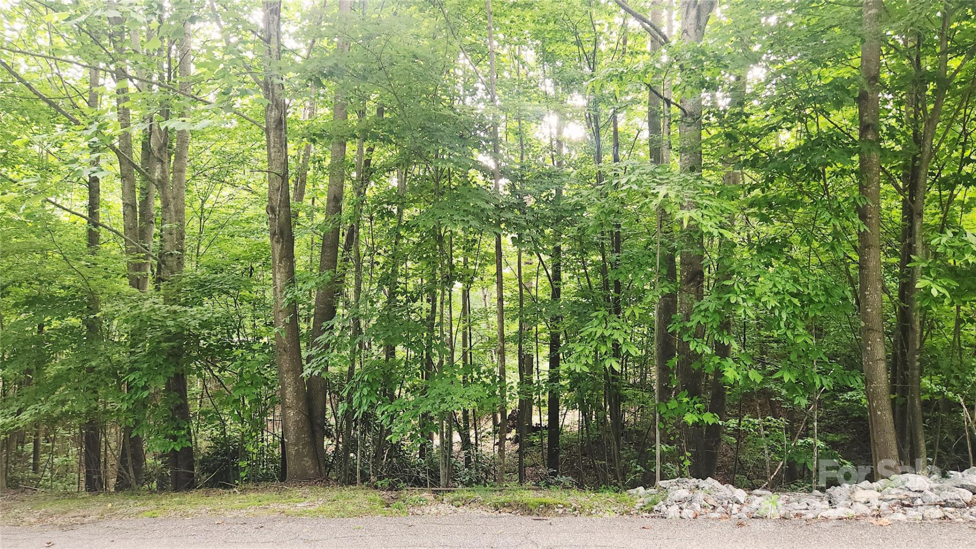 9999 Red Bud Lane #13 - Photo 6