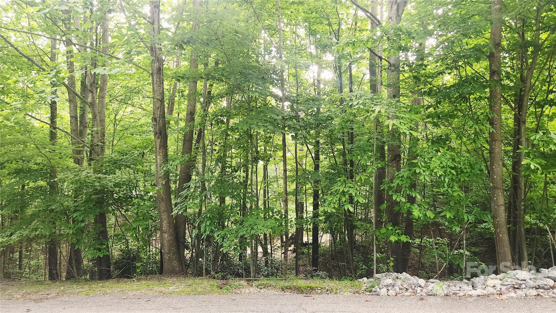 9999 Red Bud Lane #13 - Photo 6