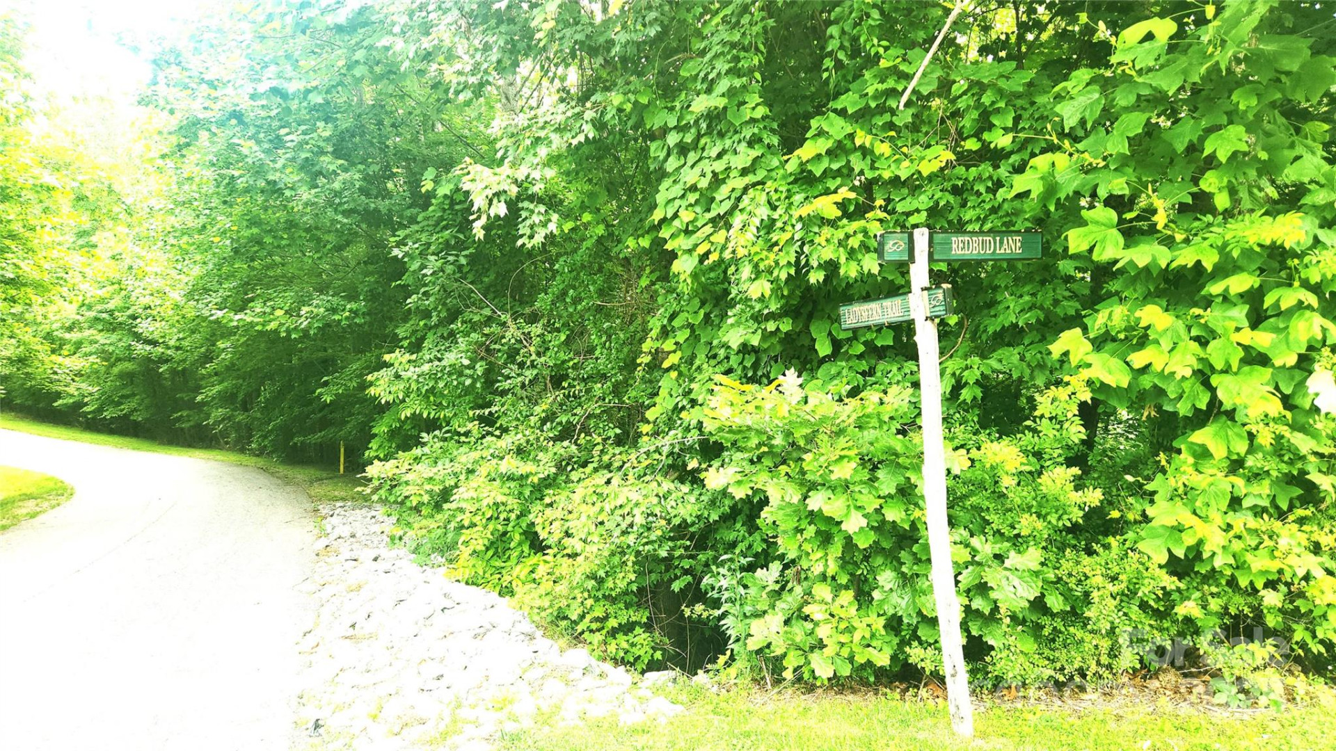 9999 Red Bud Lane #13 - Photo 7