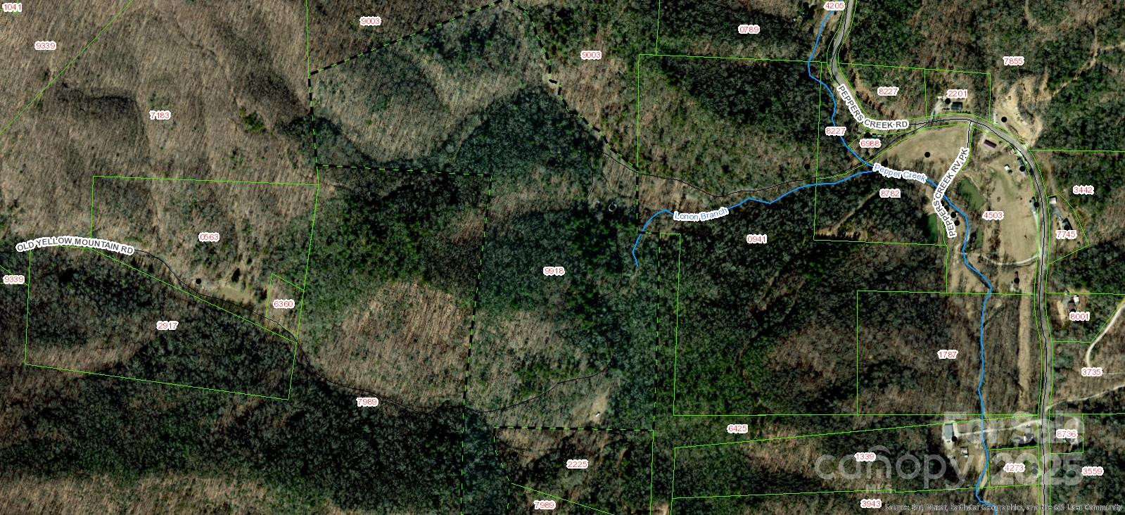 459 Old Yellow Mountain Road - Photo 24