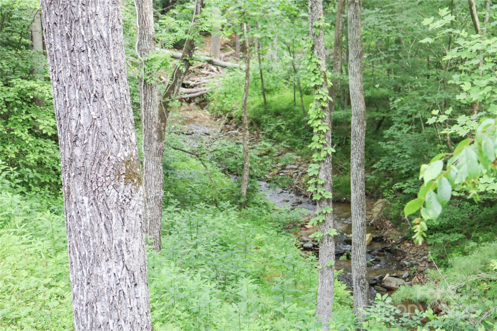 459 Old Yellow Mountain Road - Photo 25