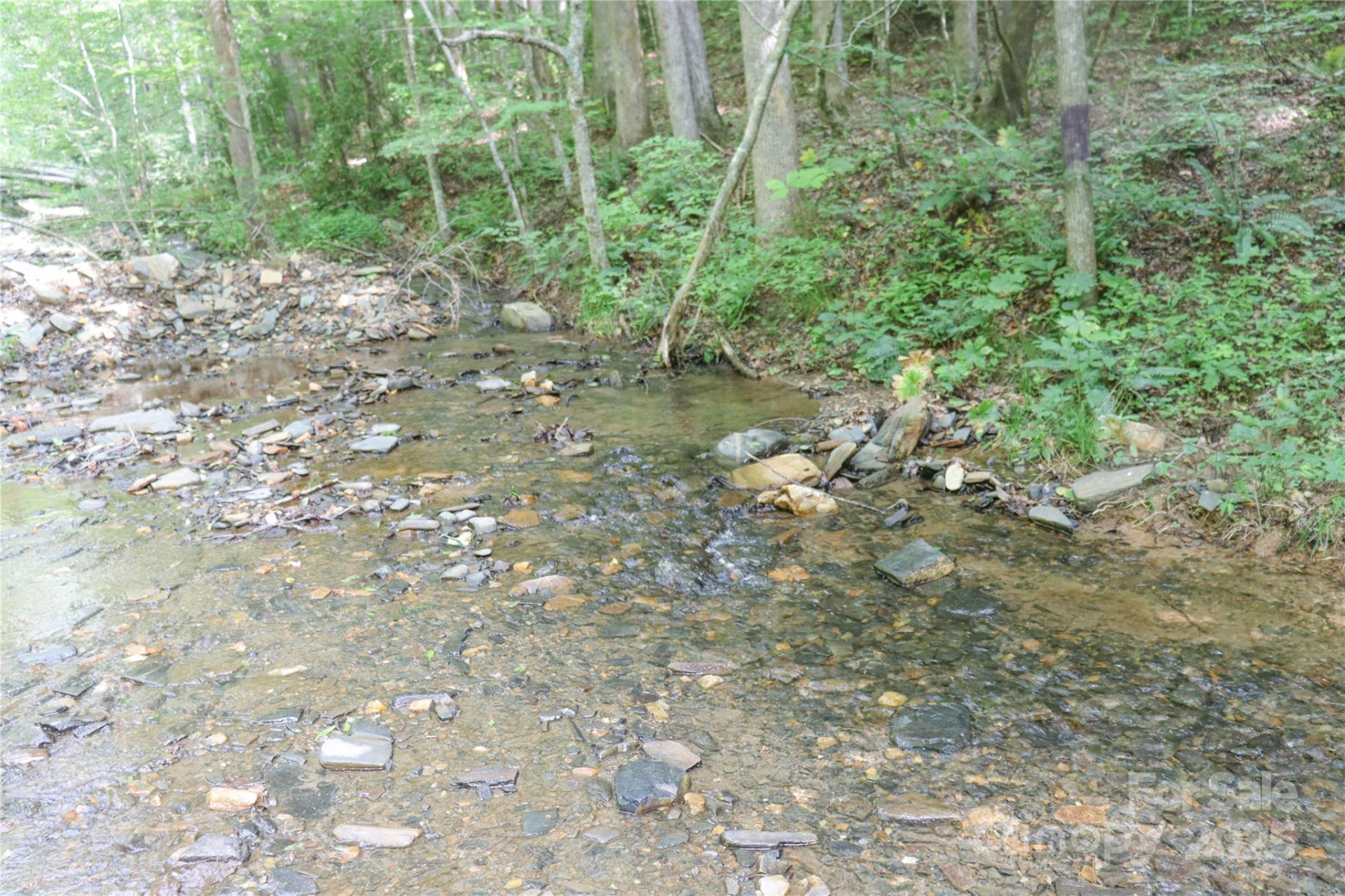 459 Old Yellow Mountain Road - Photo 26