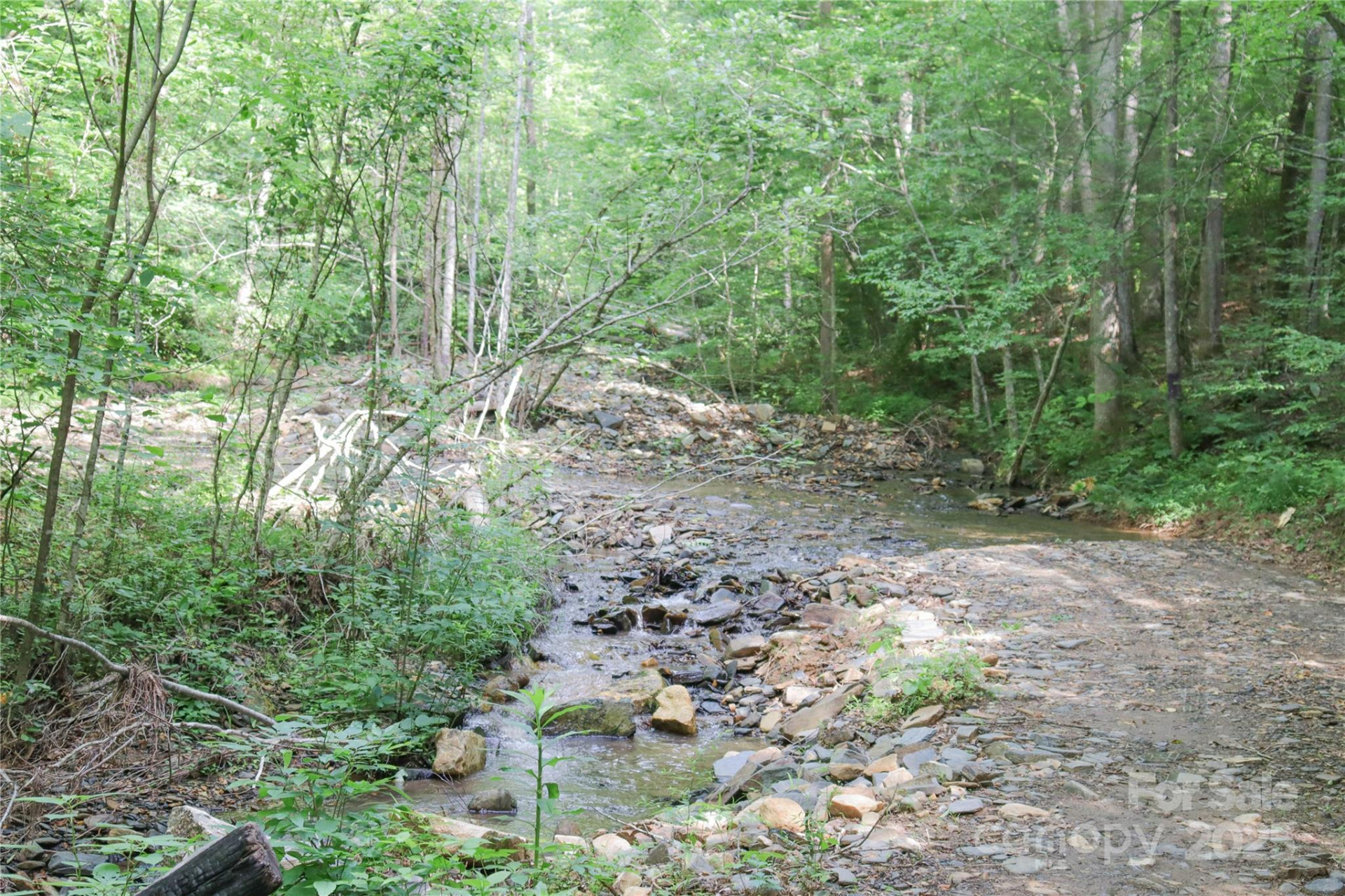 459 Old Yellow Mountain Road - Photo 27