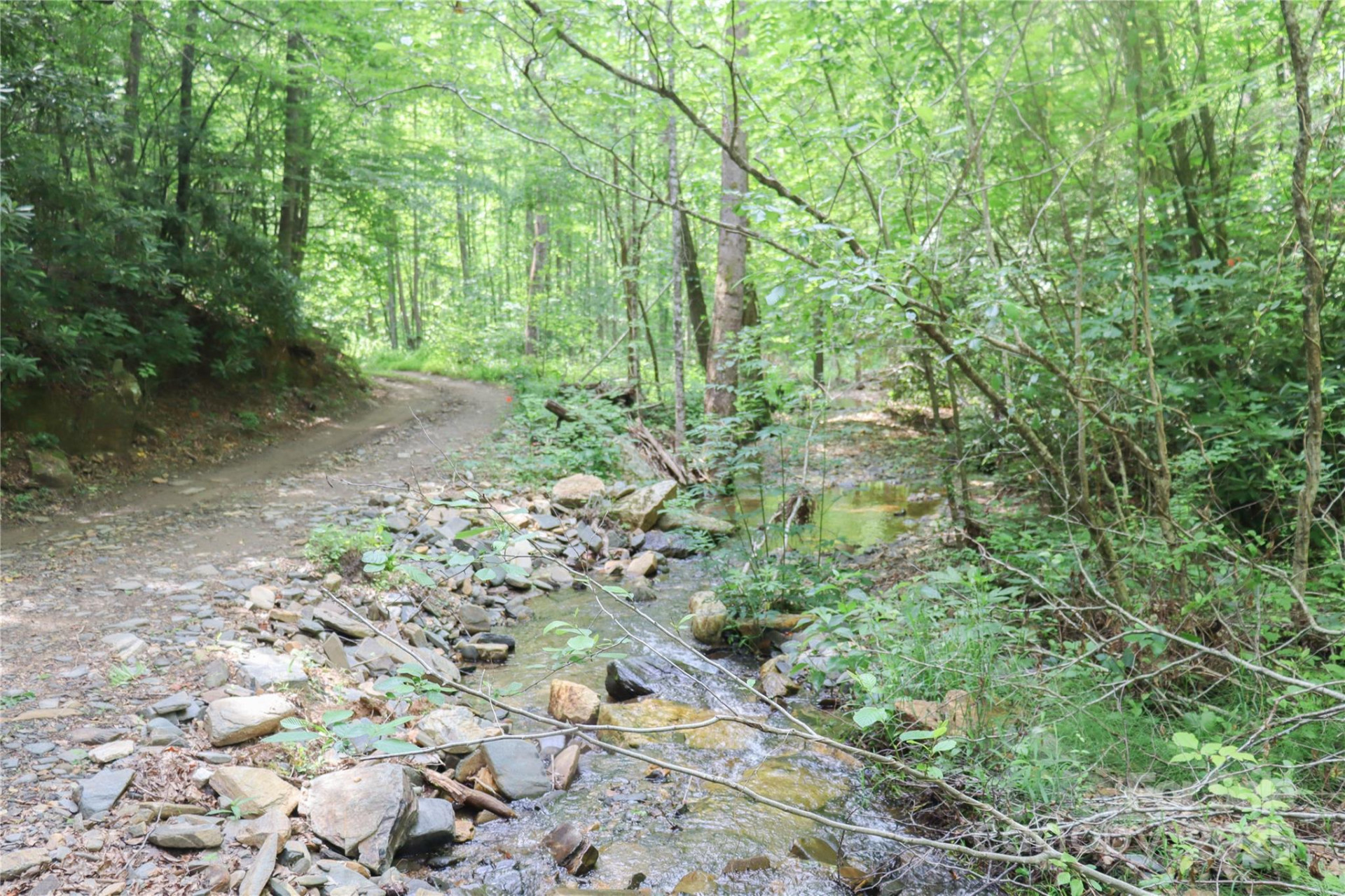 459 Old Yellow Mountain Road - Photo 28