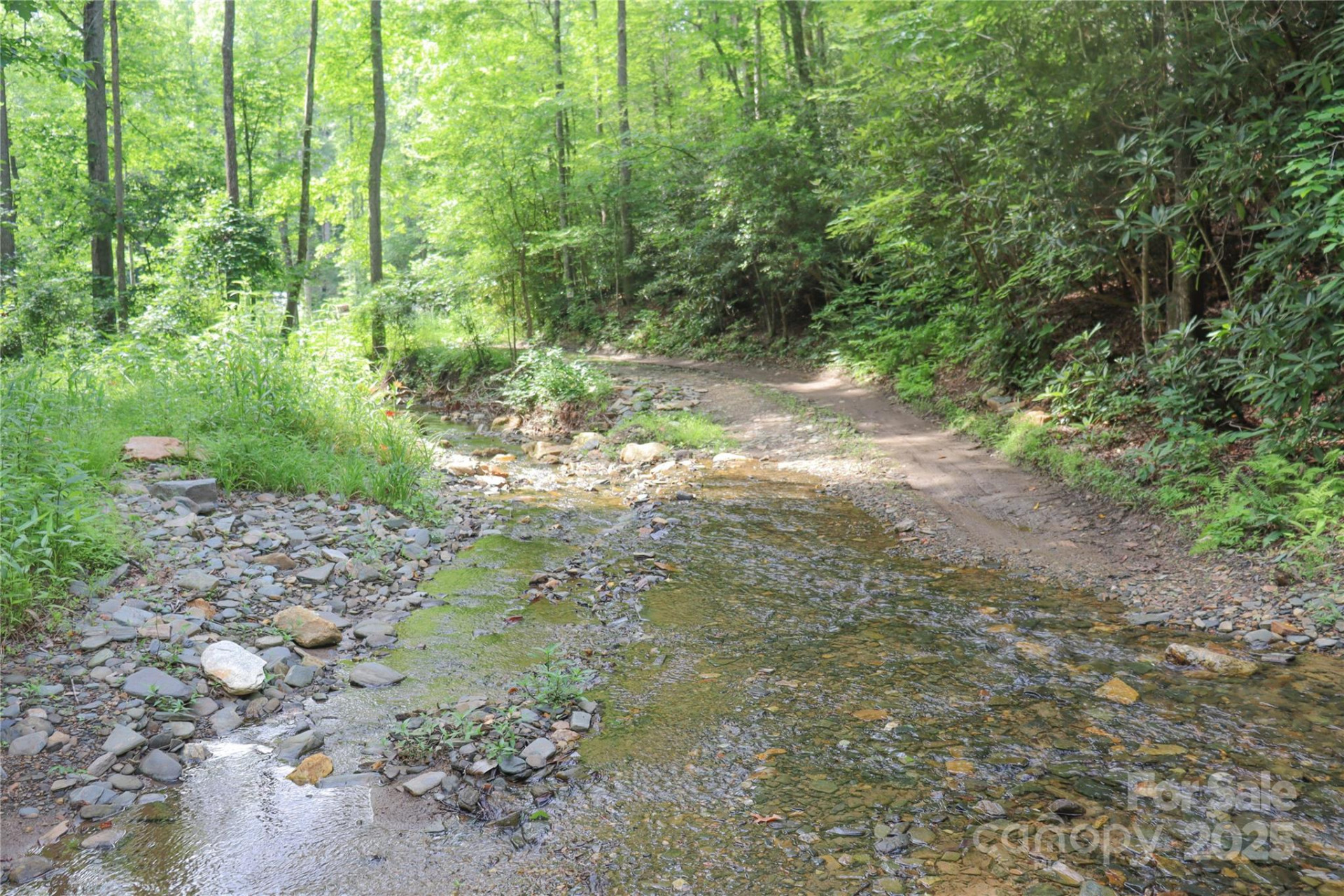 459 Old Yellow Mountain Road - Photo 5