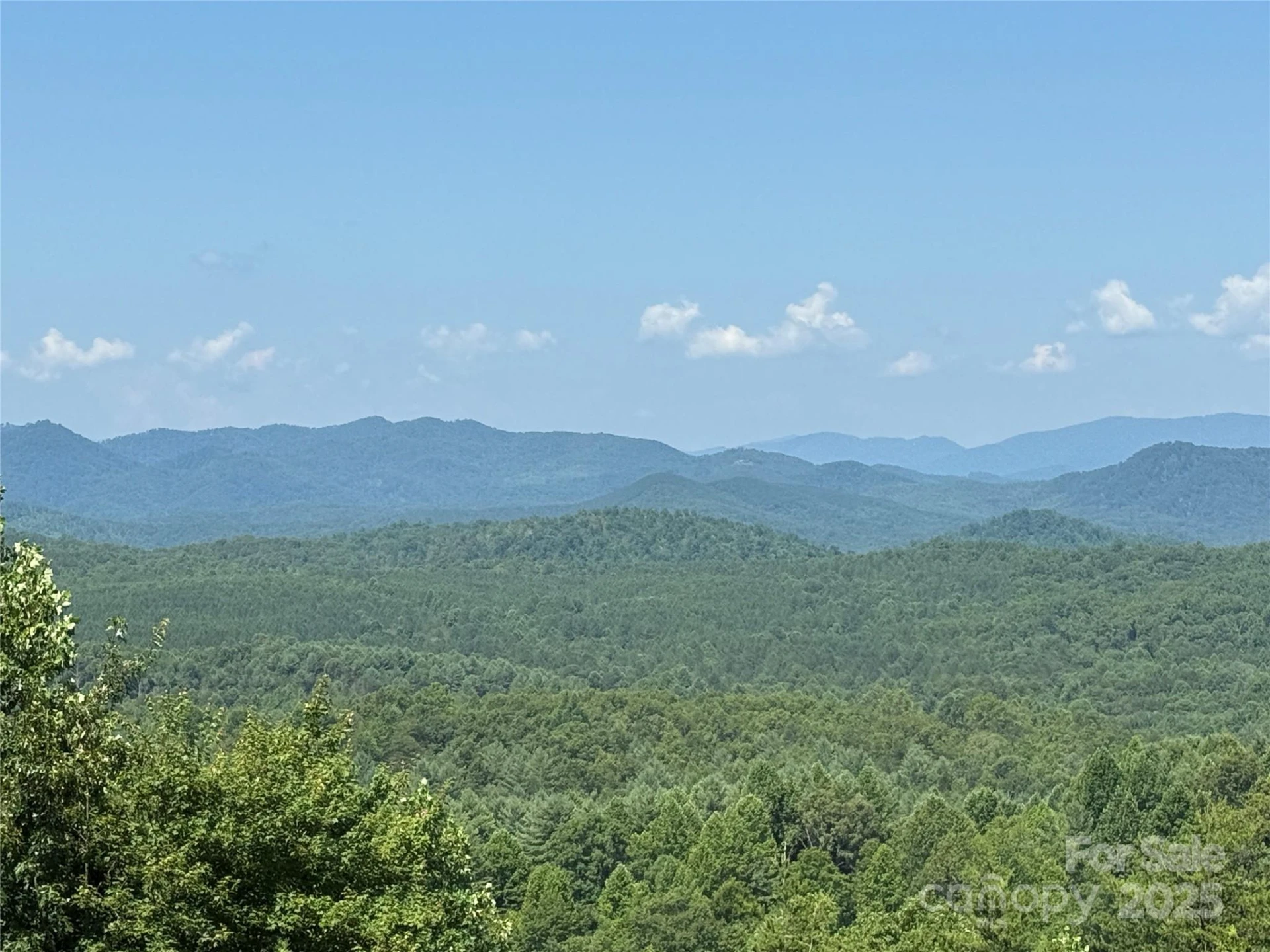 0 Scenic Vista Drive #262 - Photo 2