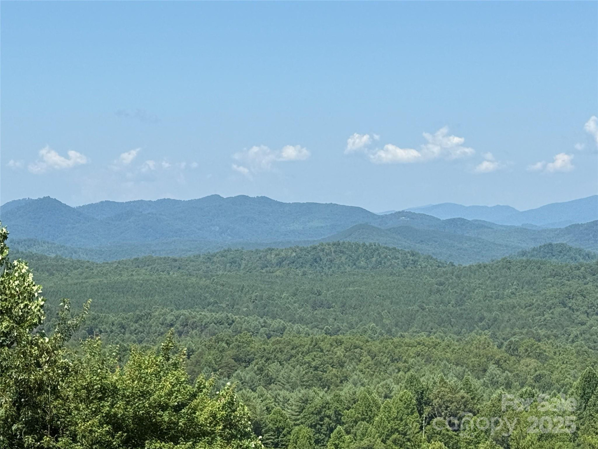 0 Scenic Vista Drive #262 - Photo 4