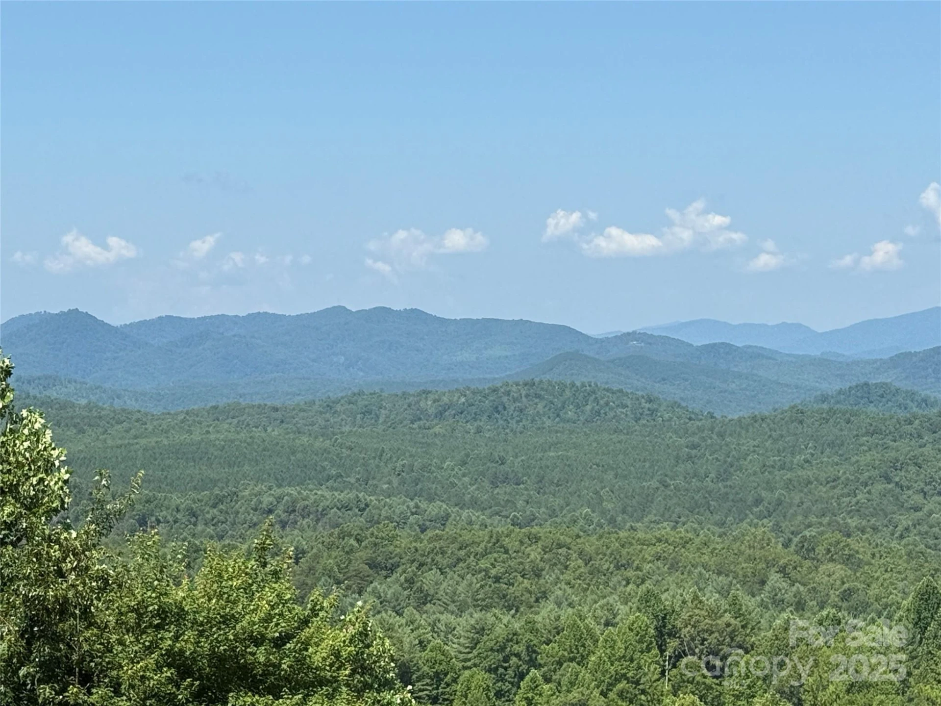 0 Scenic Vista Drive #262 - Photo 4