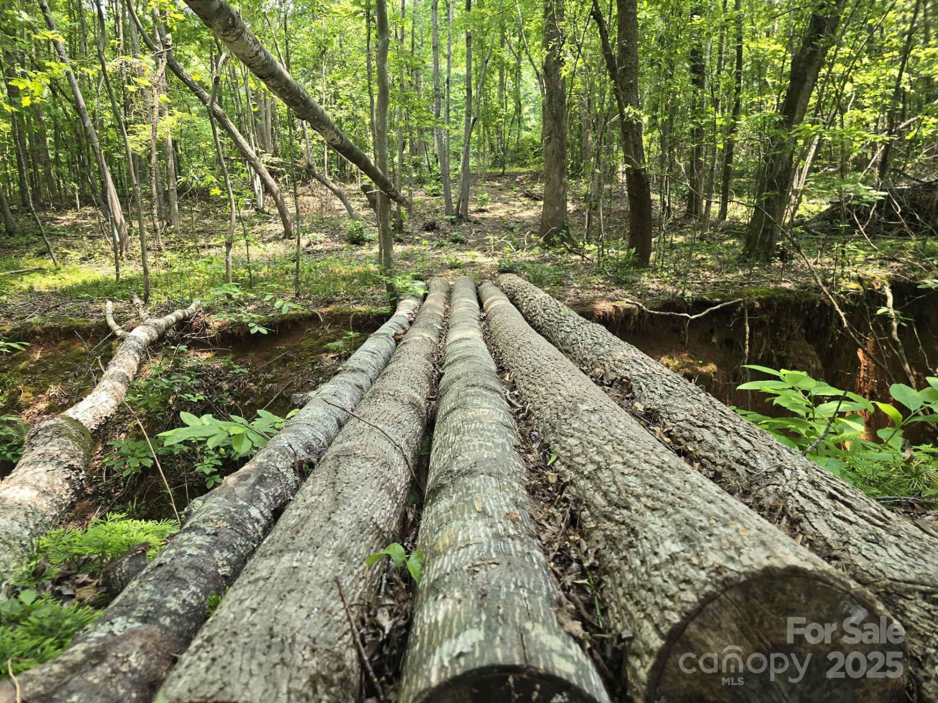 Lot 10 State Line Road #10 - Photo 3