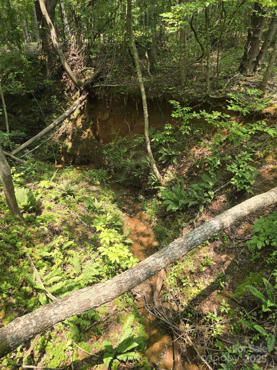 Lot 10 State Line Road #10 - Photo 4