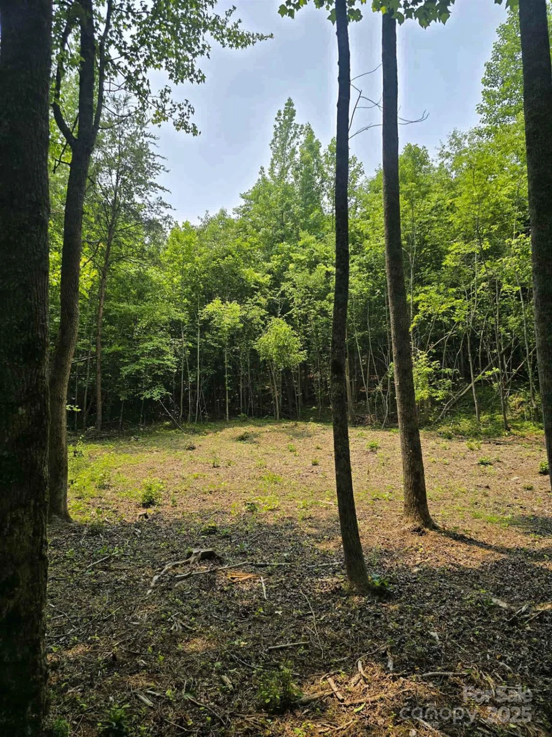 Lot 10 State Line Road #10 - Photo 6