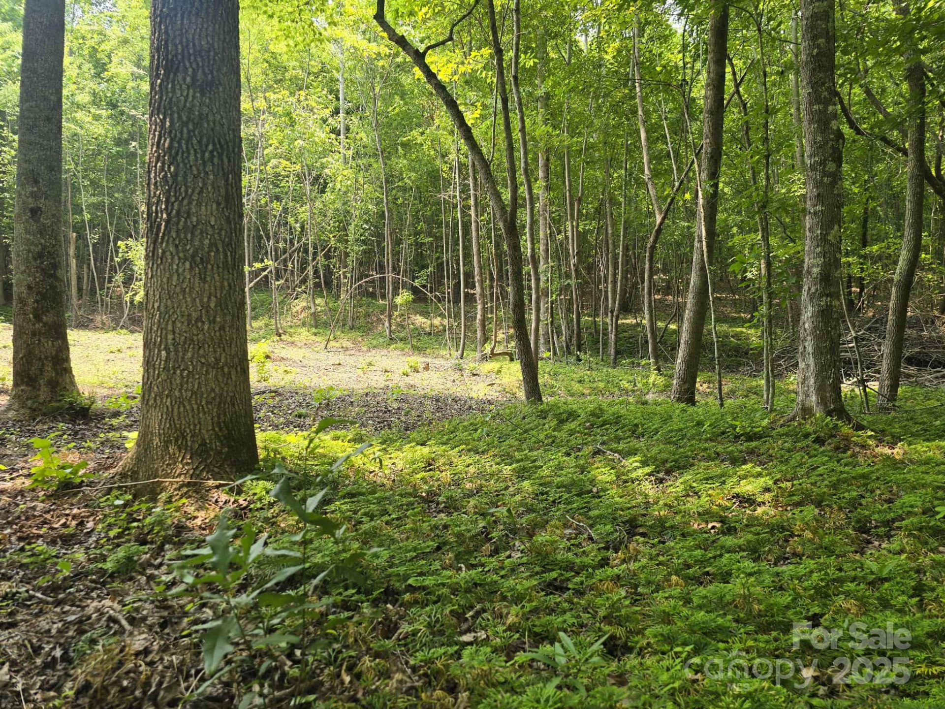 Lot 10 State Line Road #10 - Photo 7