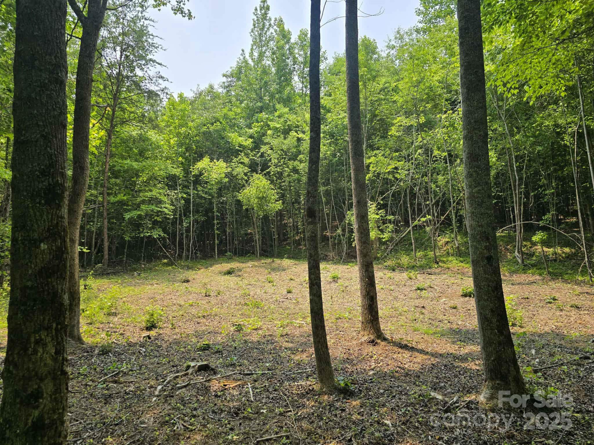 Lot 10 State Line Road #10 - Photo 8