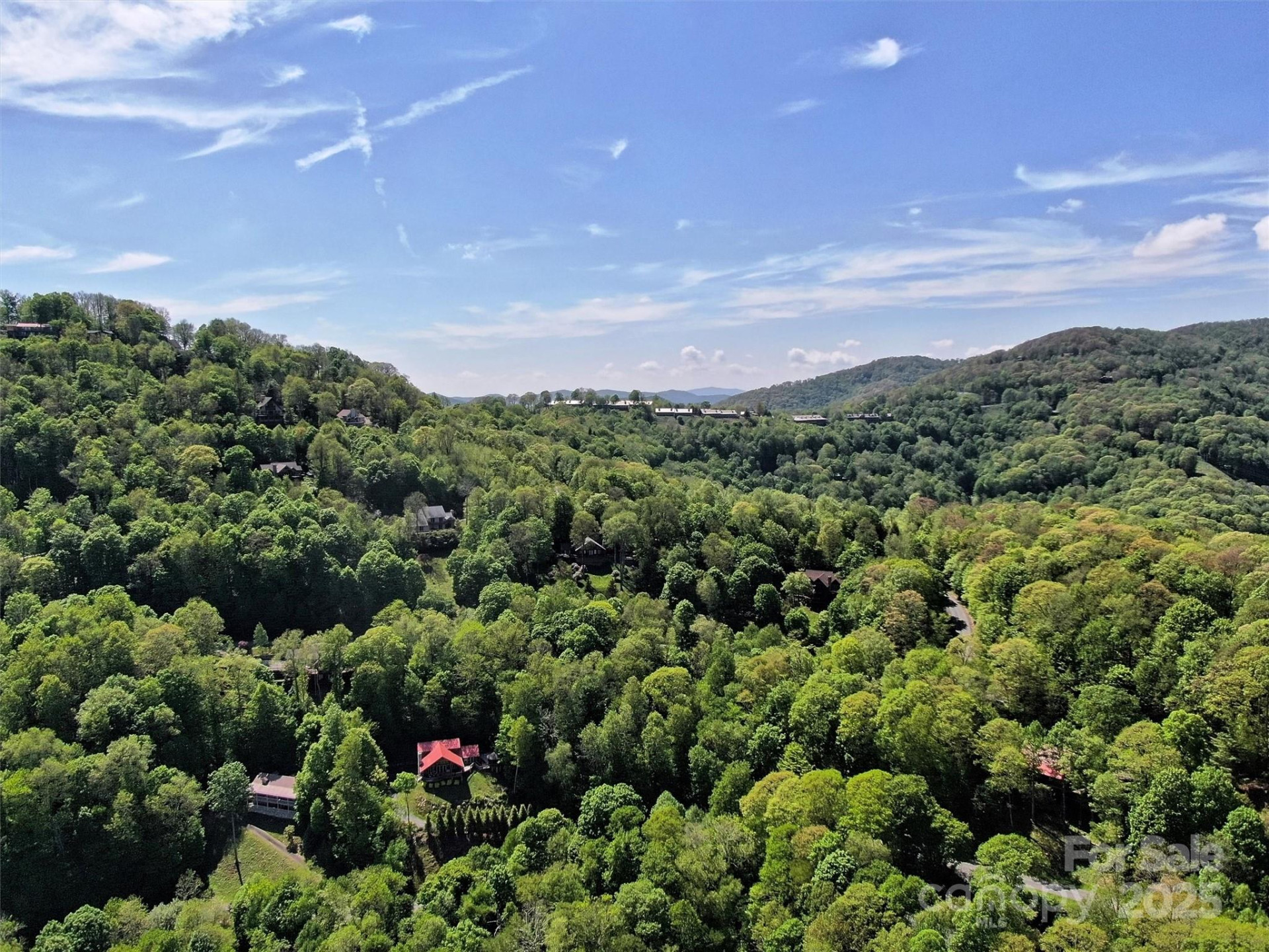 TBD Goldenleaf Road #74 - Photo 11