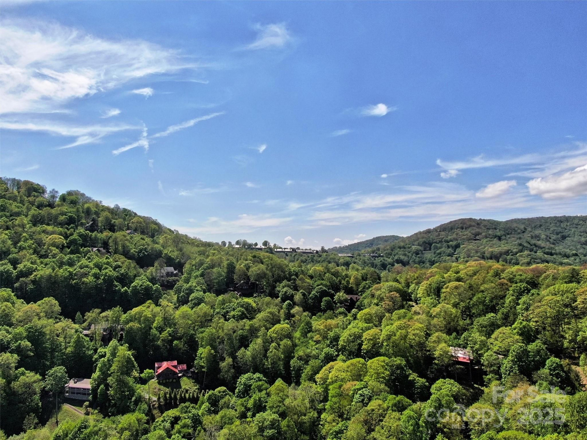 TBD Goldenleaf Road #74 - Photo 12