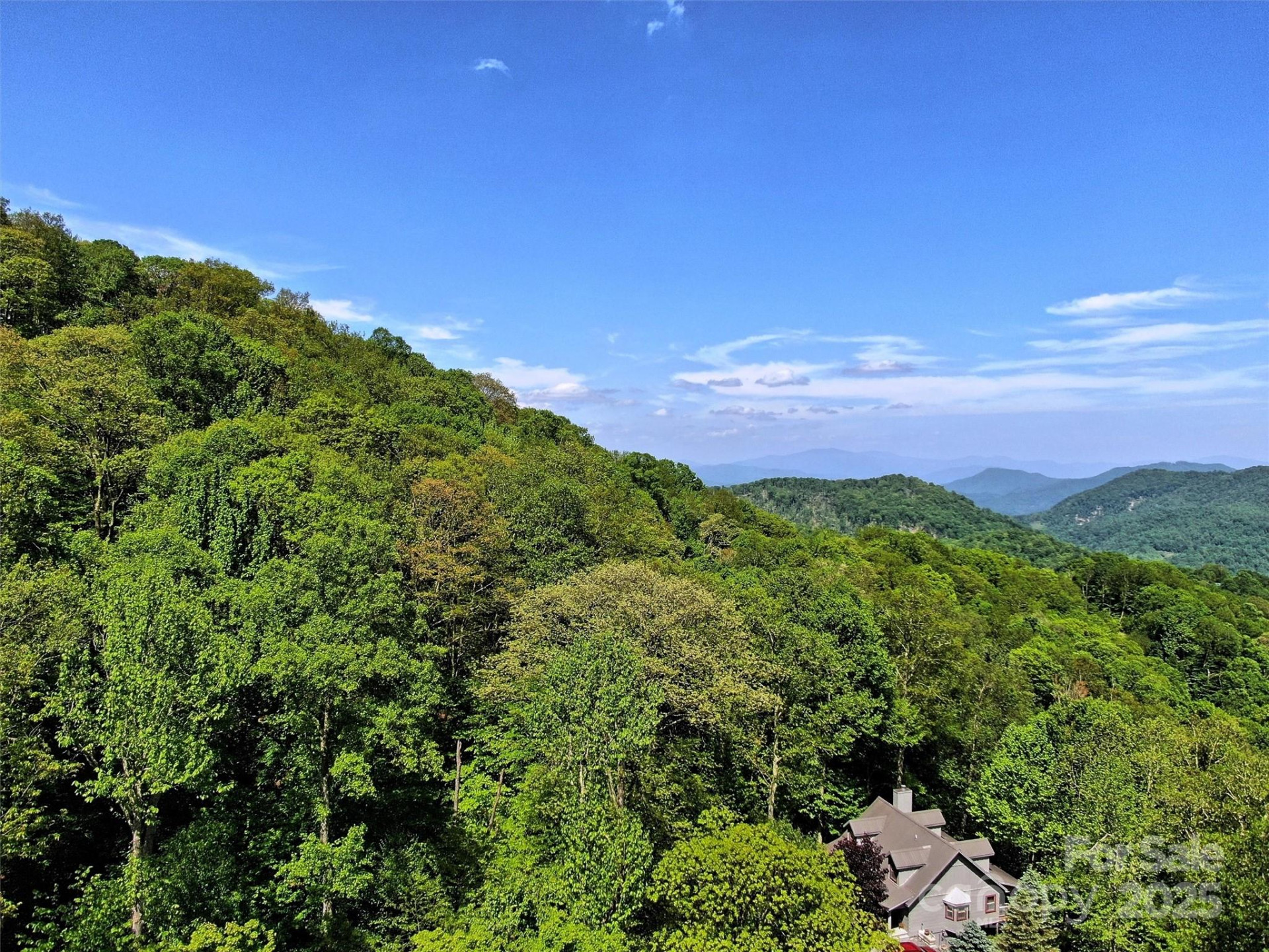 TBD Goldenleaf Road #74 - Photo 13