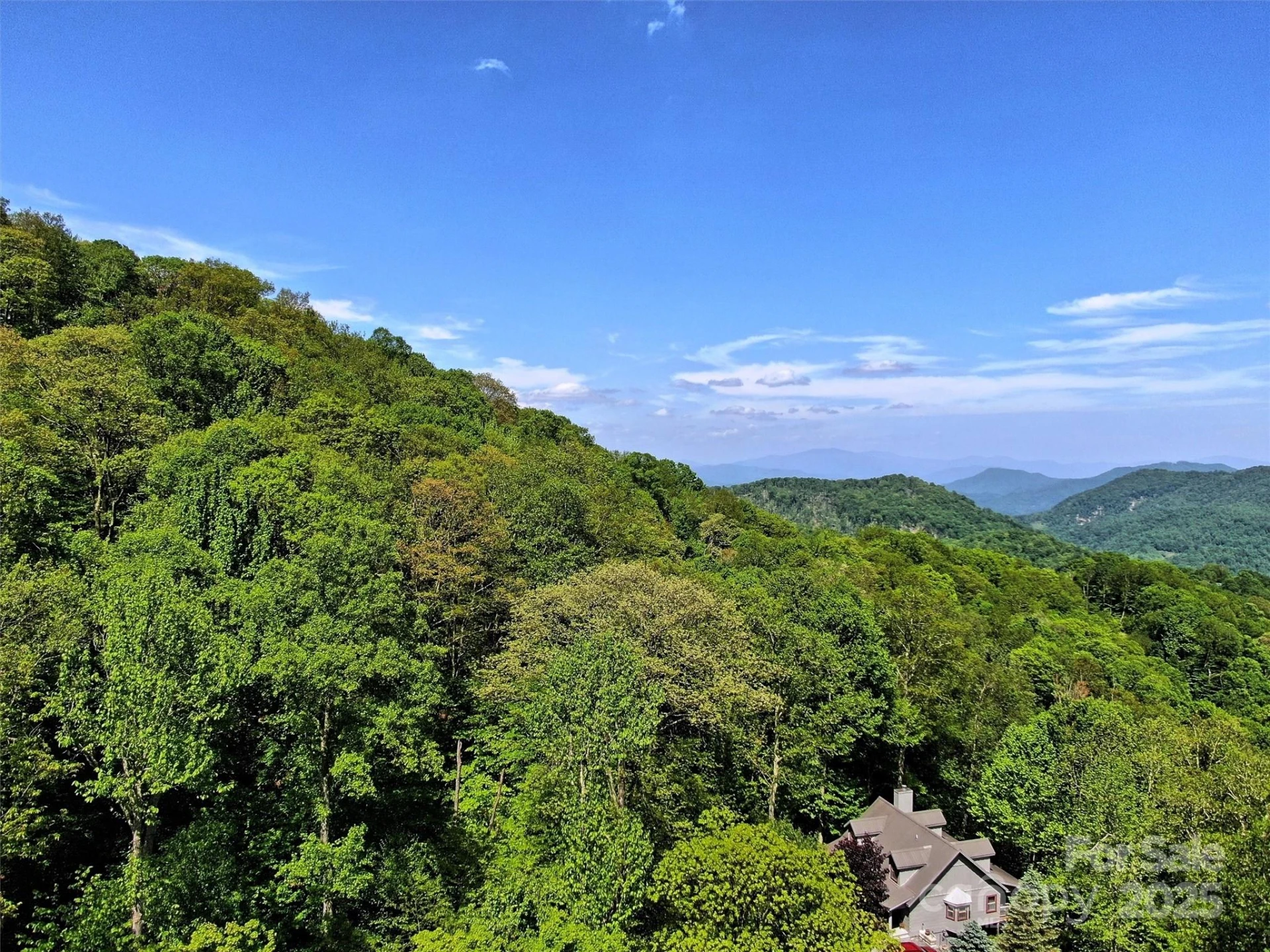 TBD Goldenleaf Road #74 - Photo 13