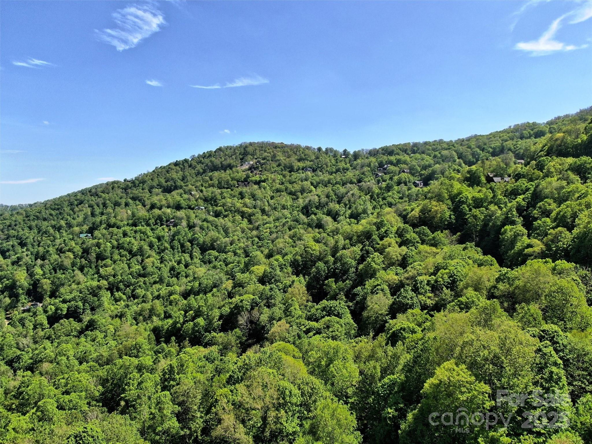 TBD Goldenleaf Road #74 - Photo 15