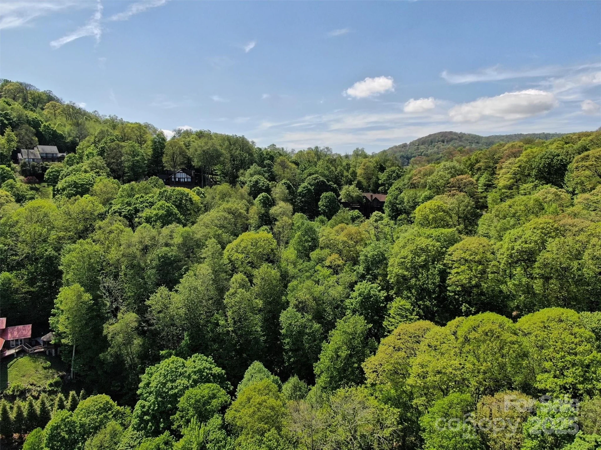 TBD Goldenleaf Road #74 - Photo 16