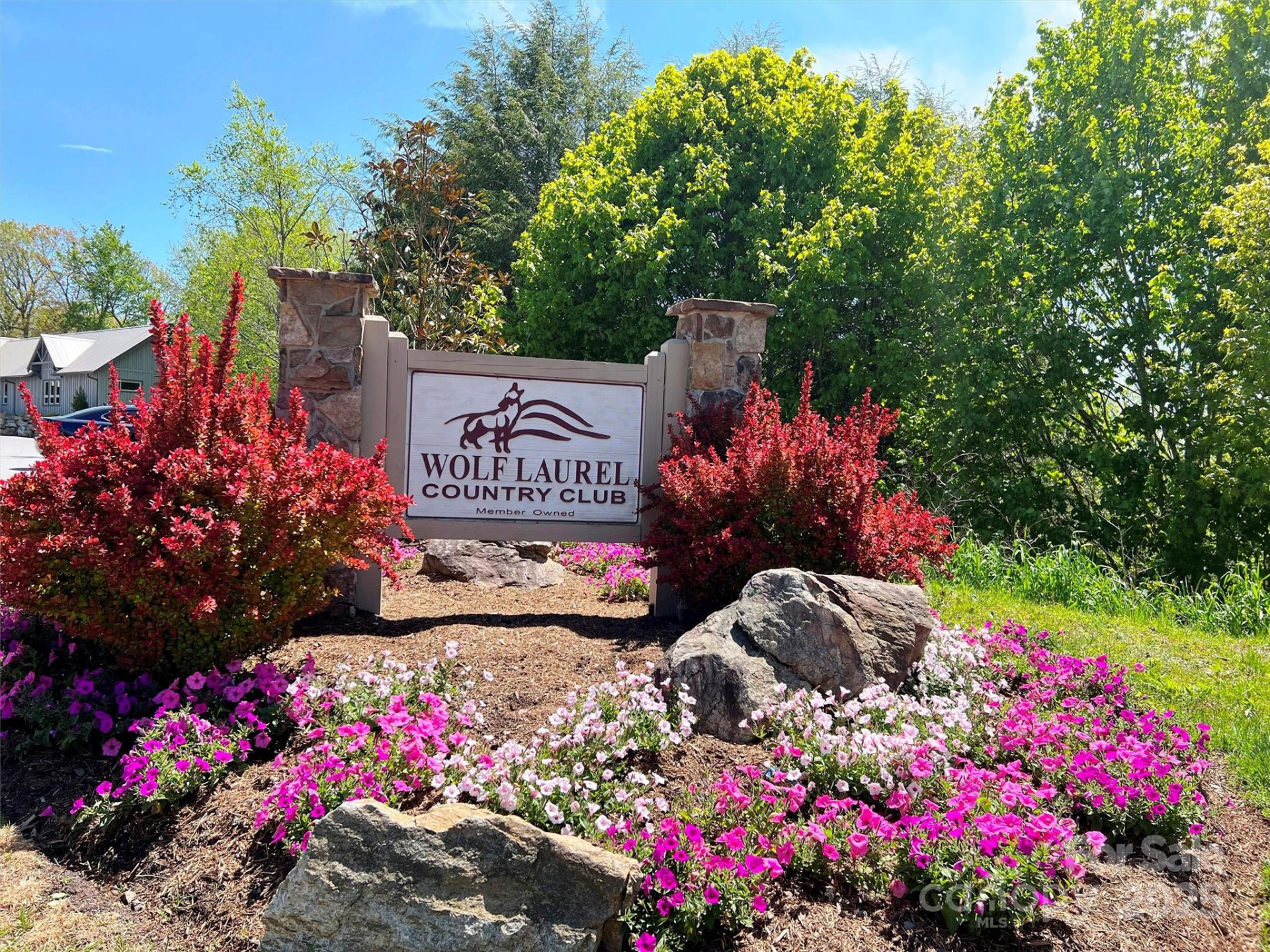 TBD Goldenleaf Road #74 - Photo 3