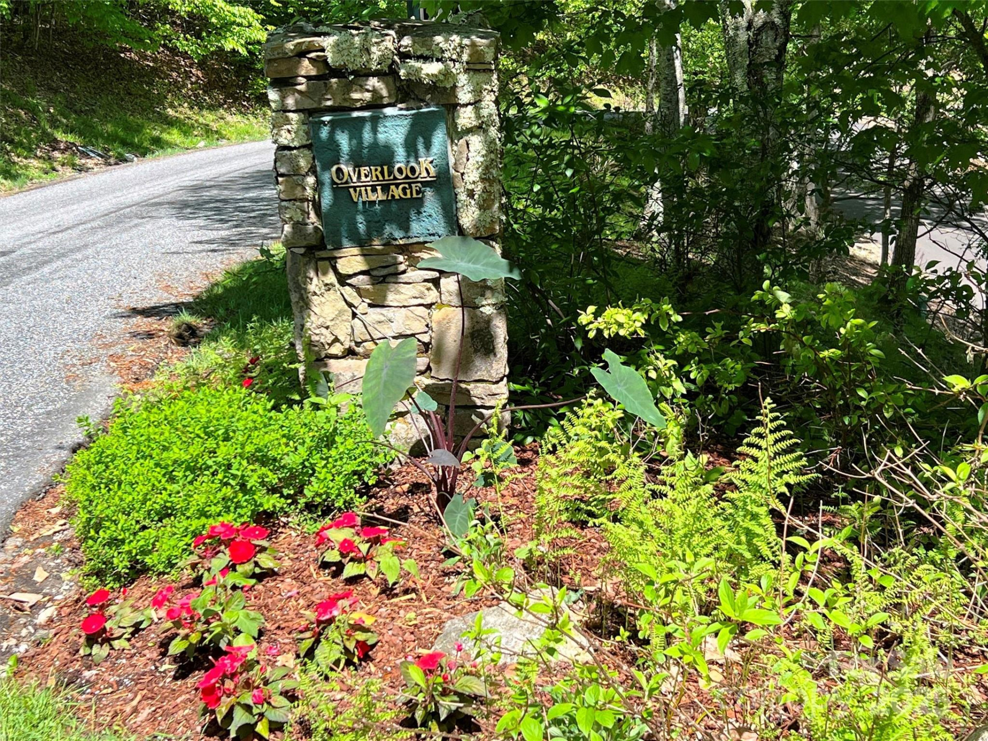 TBD Goldenleaf Road #74 - Photo 4