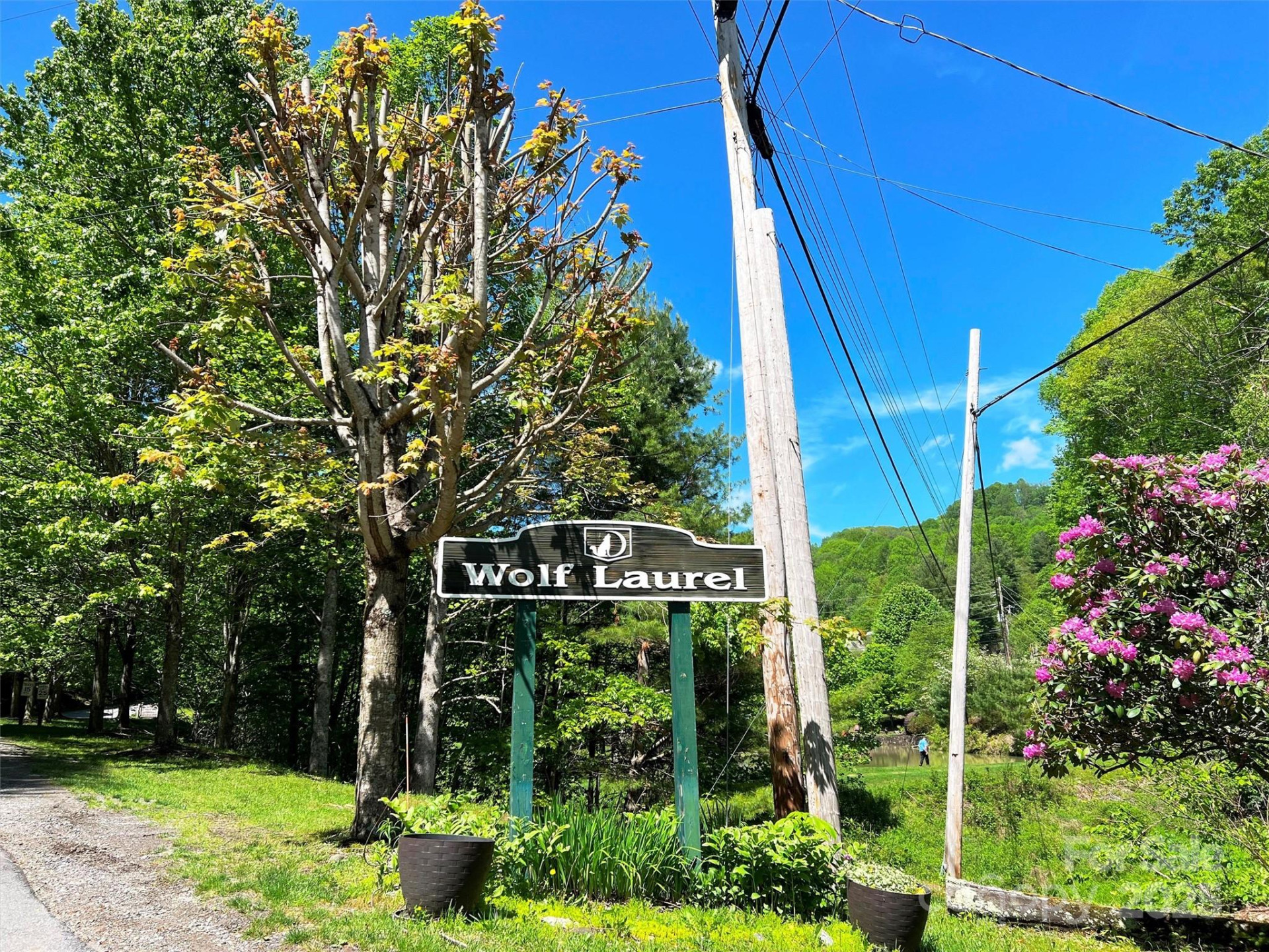 TBD Goldenleaf Road #74 - Photo 5