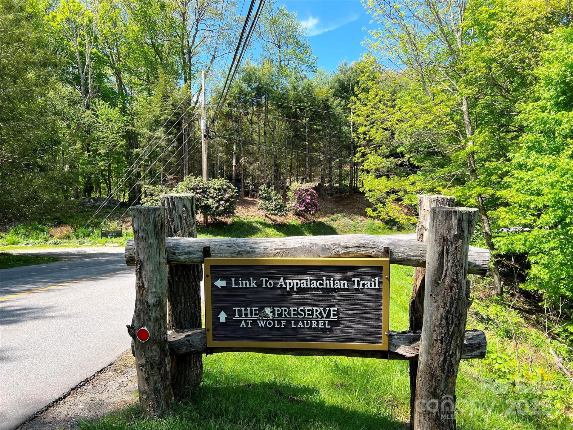 TBD Goldenleaf Road #74 - Photo 6