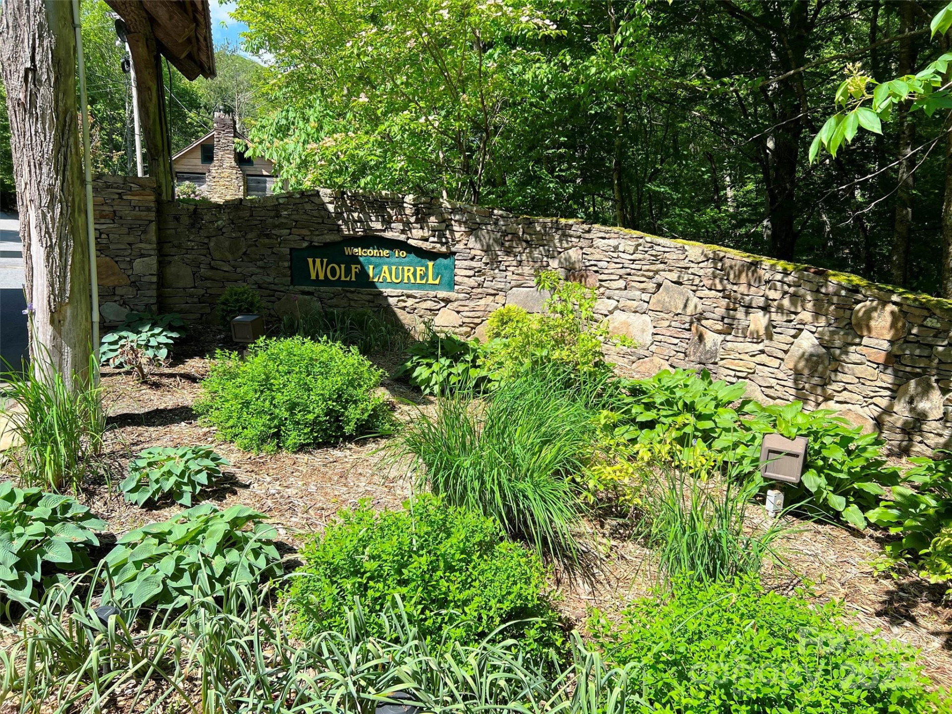 TBD Goldenleaf Road #74 - Photo 7