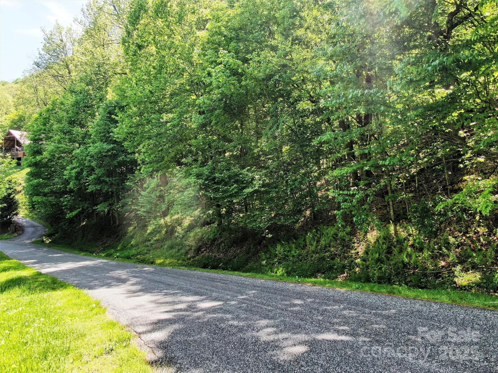 TBD Goldenleaf Road #74 - Photo 8