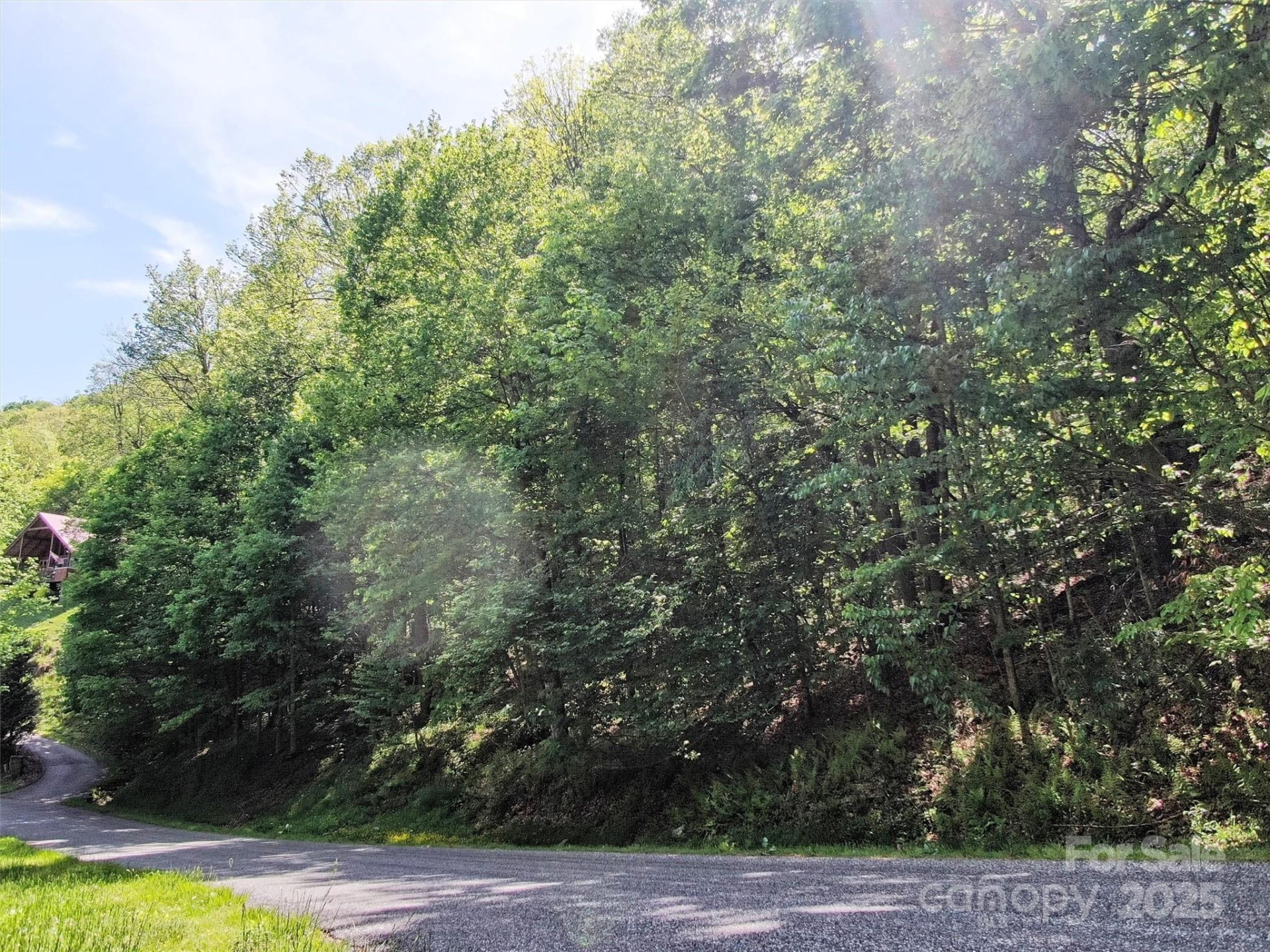 TBD Goldenleaf Road #74 - Photo 9